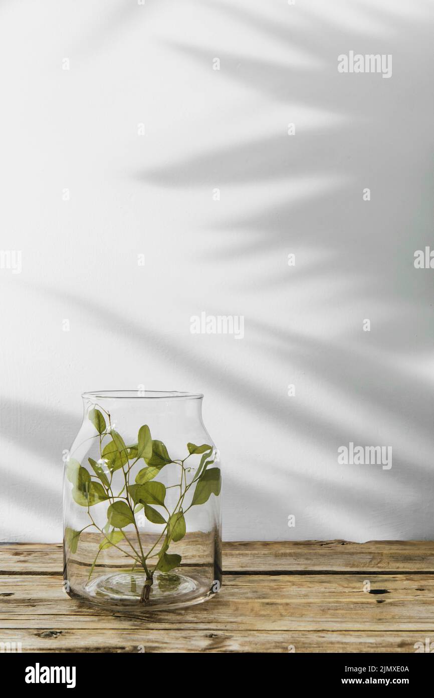Abstract minimal concept objects with shadows wooden table Stock Photo
