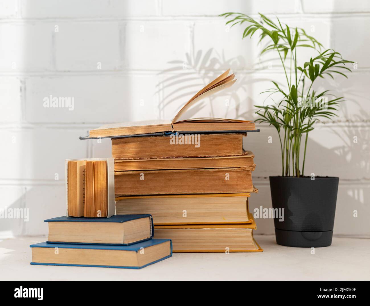Books arrangement with potted plant Stock Photo