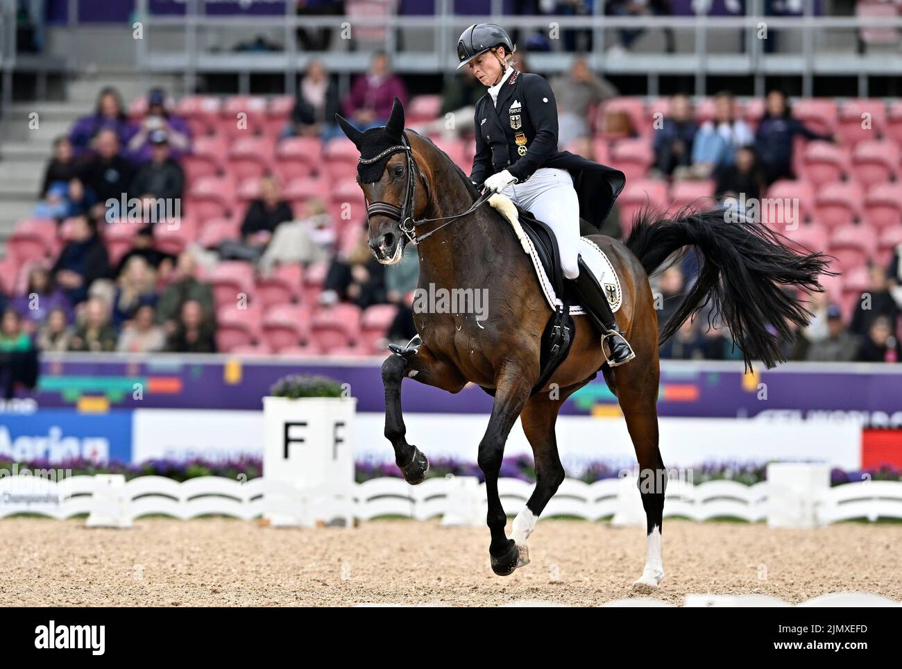 Herning, Denmark. 07th Aug, 2022. World Equestrian Games. Stutteri Ask