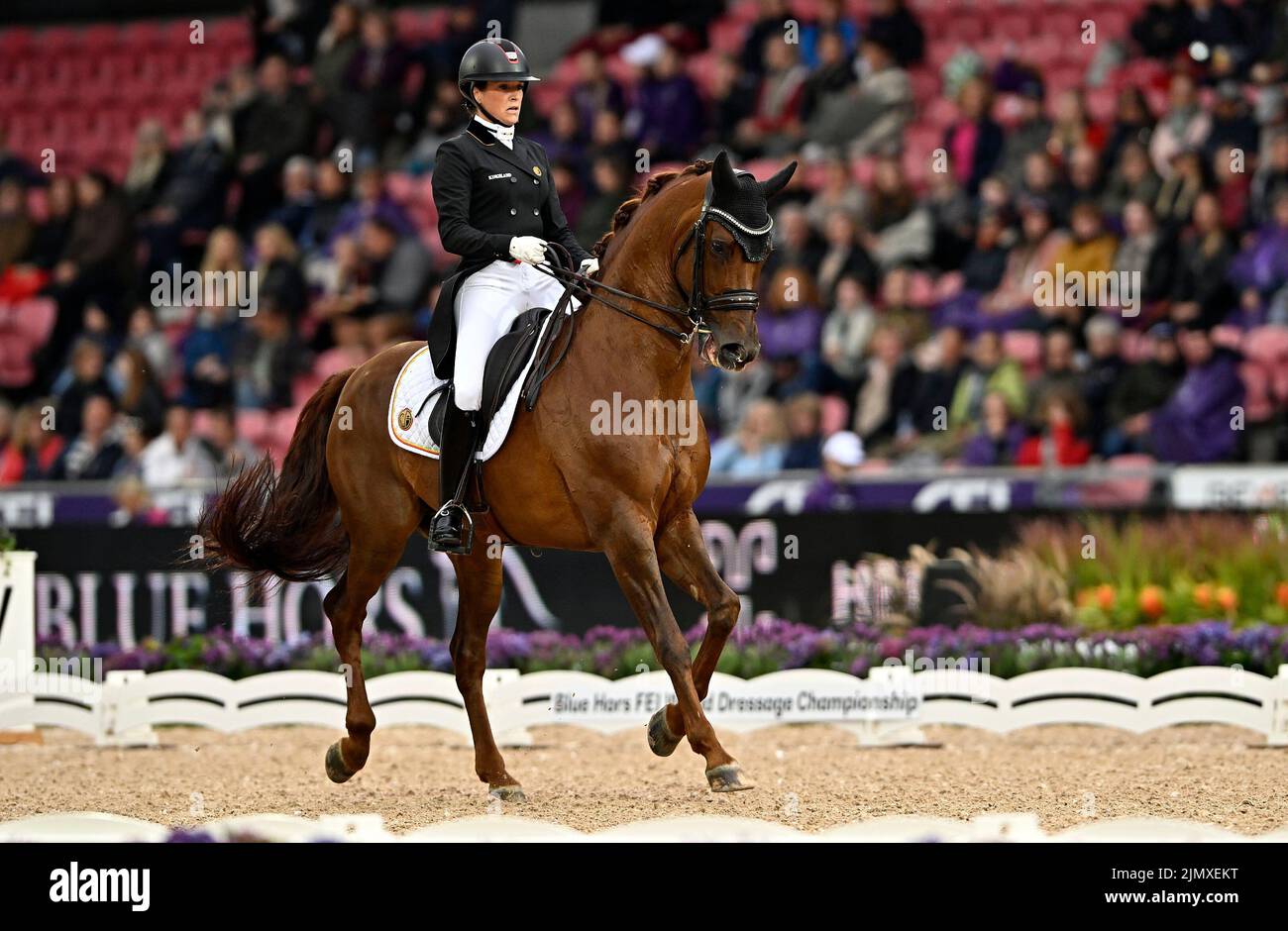 Herning, Denmark. 07th Aug, 2022. World Equestrian Games. Stutteri Ask
