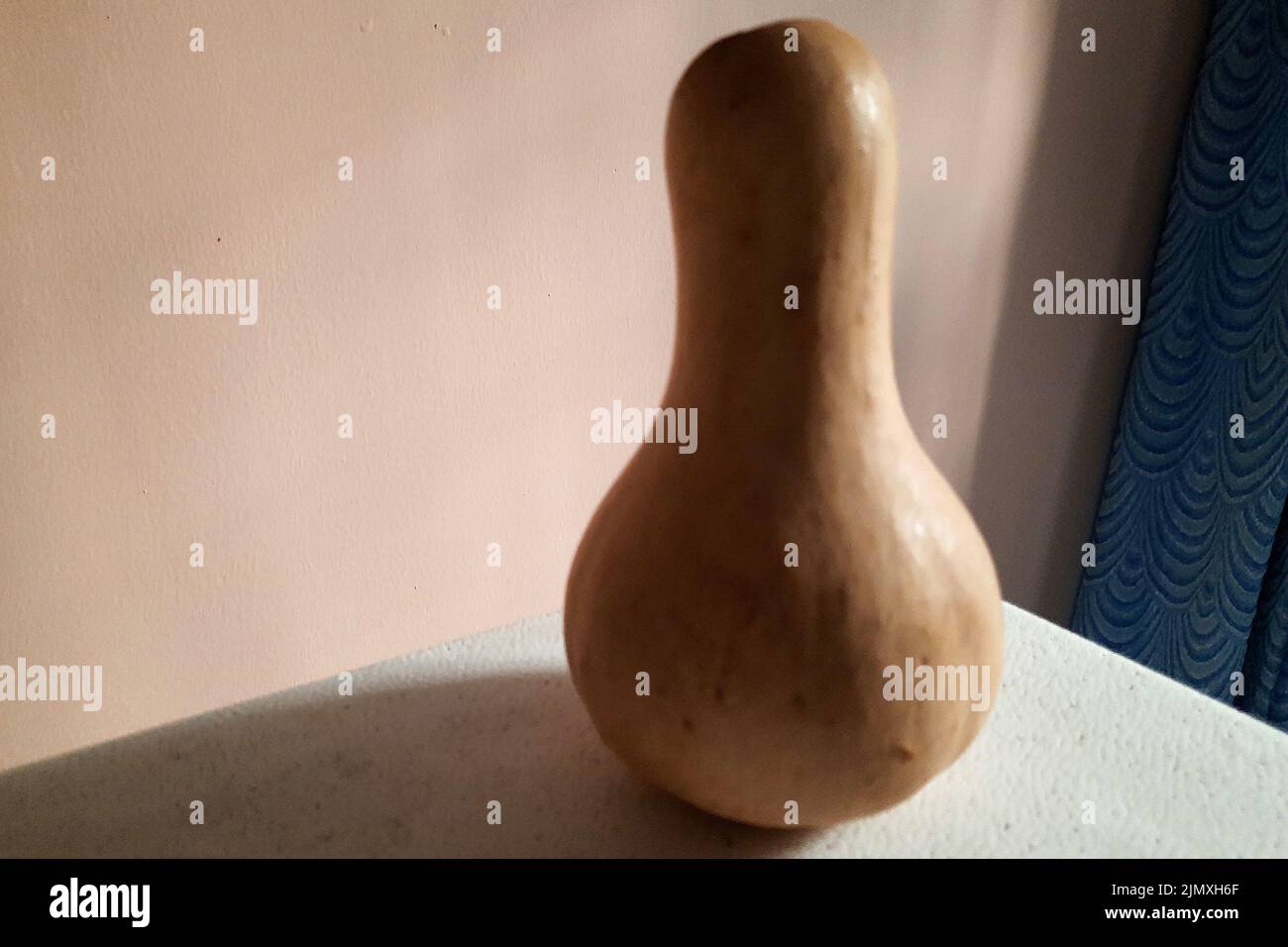 Table top shot of bottom heavy, spherical and elongated bottle gourd Stock Photo