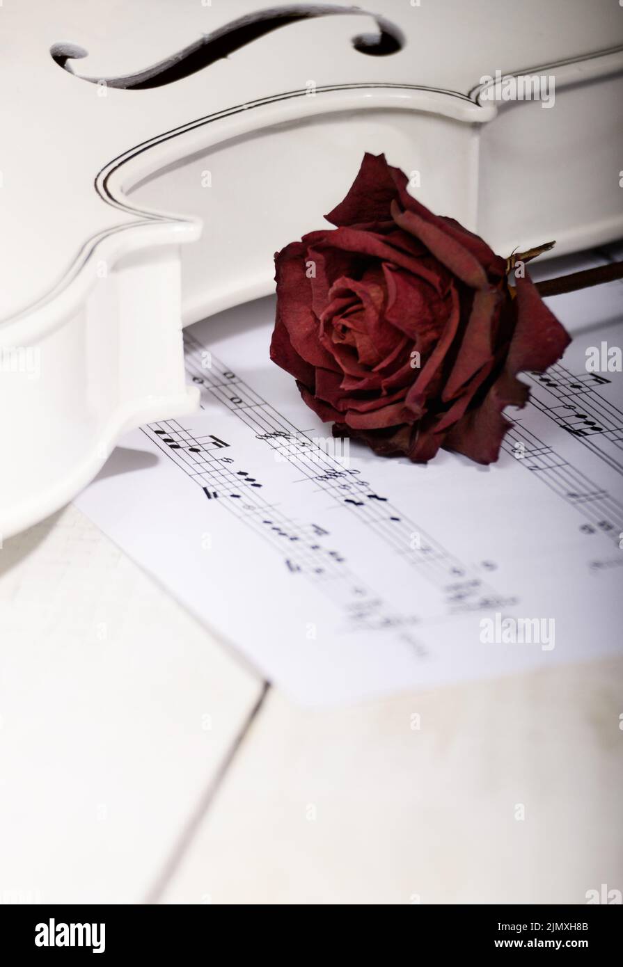 Close view of a white violin dry rose and musical notes on wooden table Stock Photo