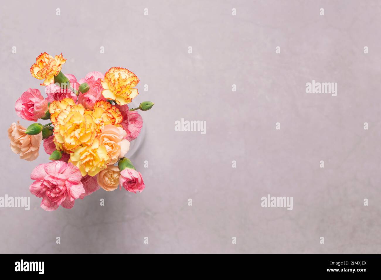 Vase with lovely carnations Stock Photo