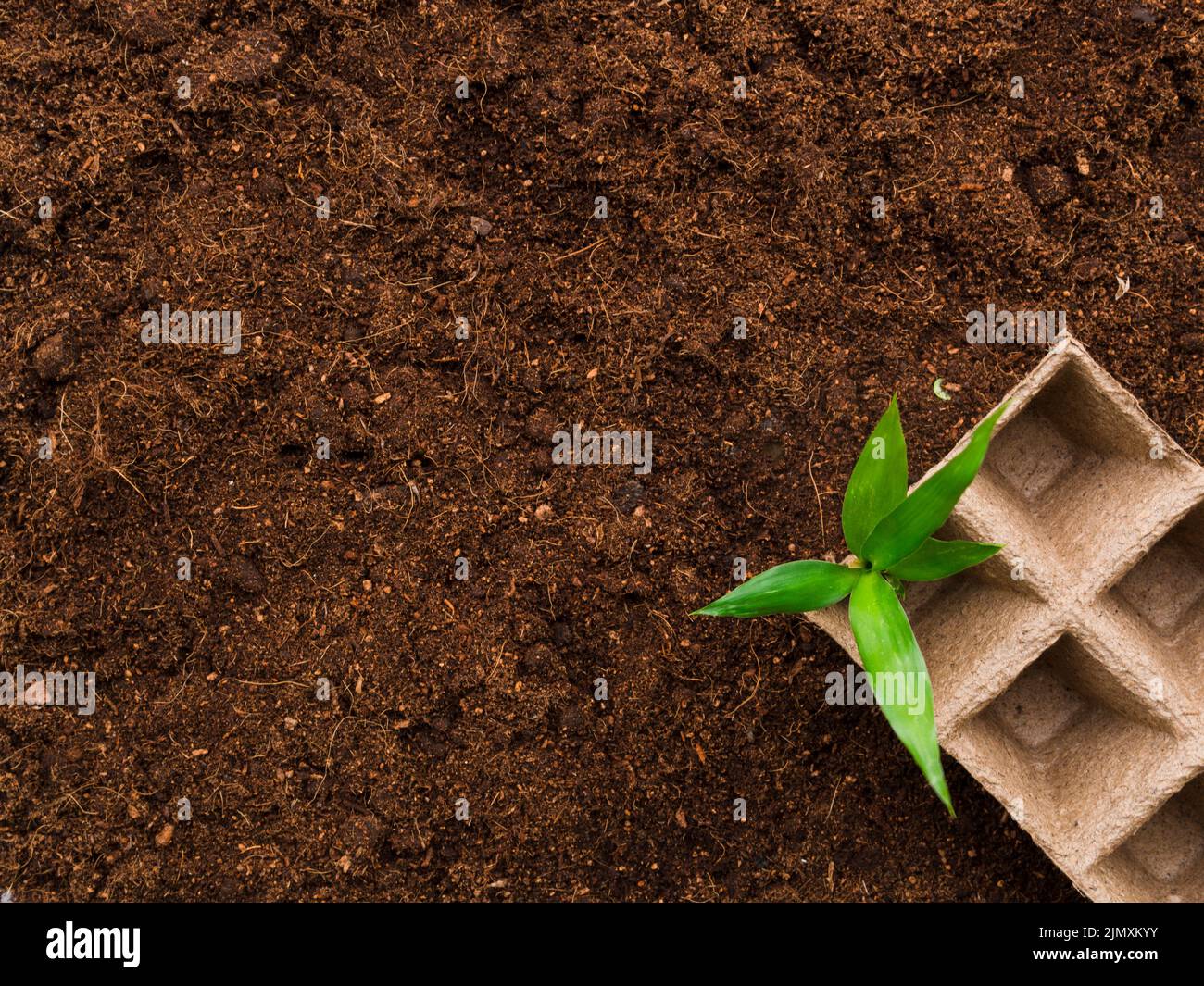 Top view seedbed soil Stock Photo Alamy