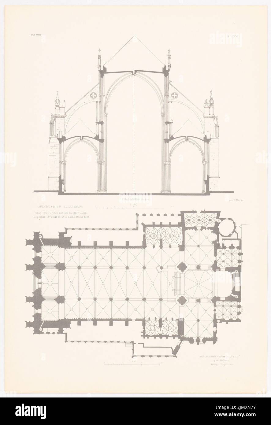 N.N., Strasburger Münster. (From: Gothic architecture in Germany, ed. V. Character Fish. D. Stud. TH Berlin, 1875) (1875-1875): cross-section, floor plan. Pressure on paper, 53.4 x 36.4 cm (including scan edges) Stock Photo