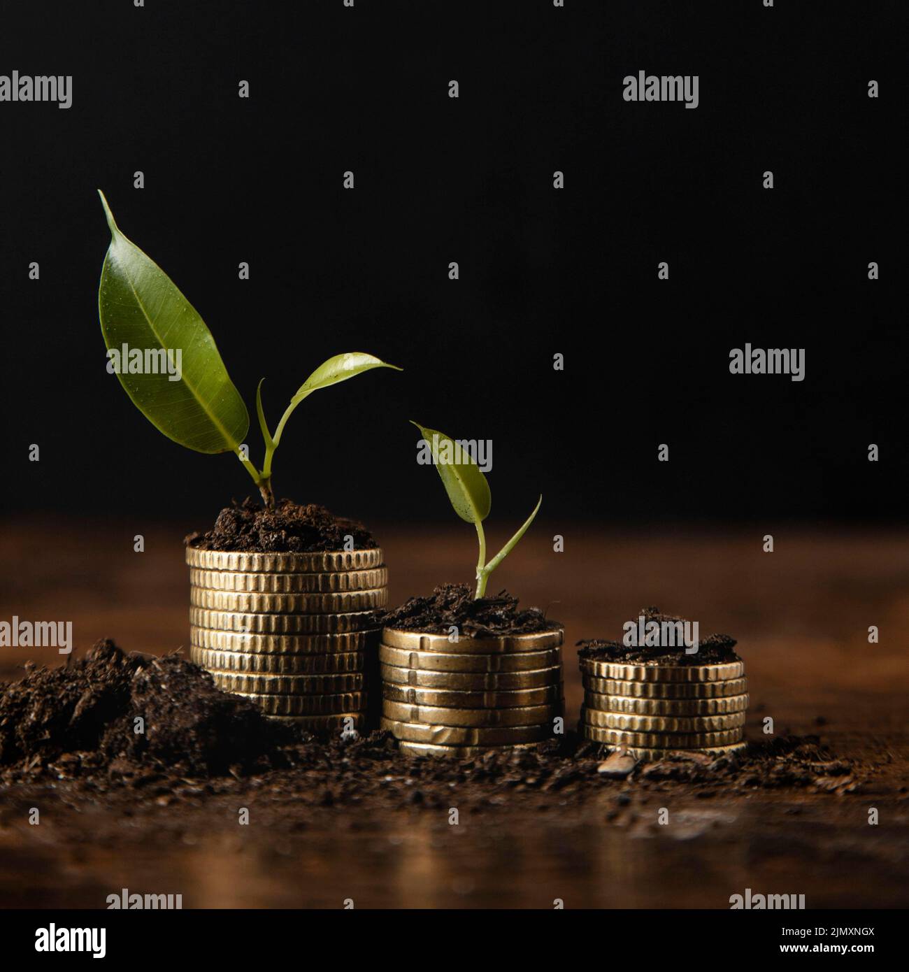 Front view stacked coins with dirt plant Stock Photo