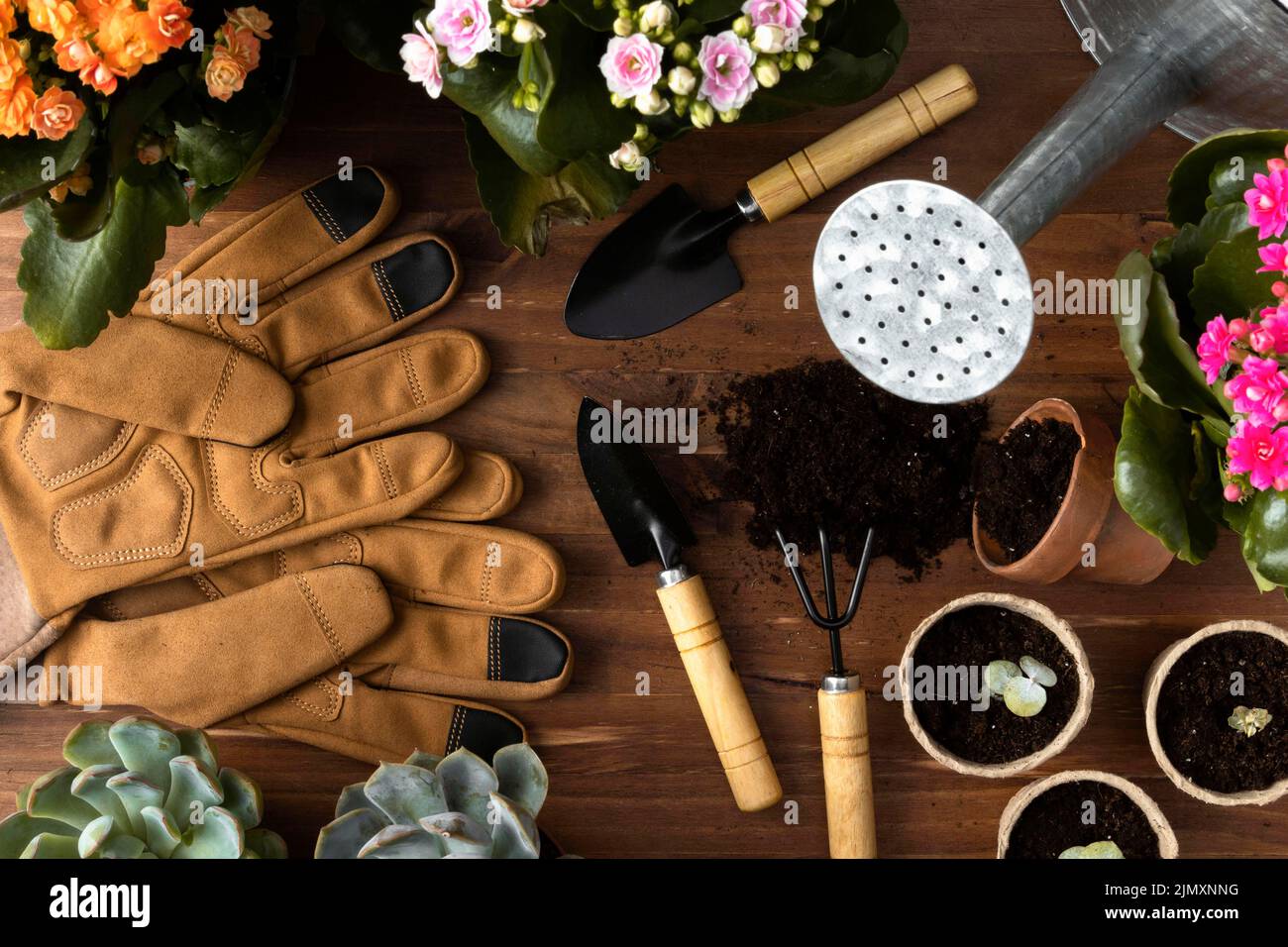 Frame tools gardening Stock Photo Alamy