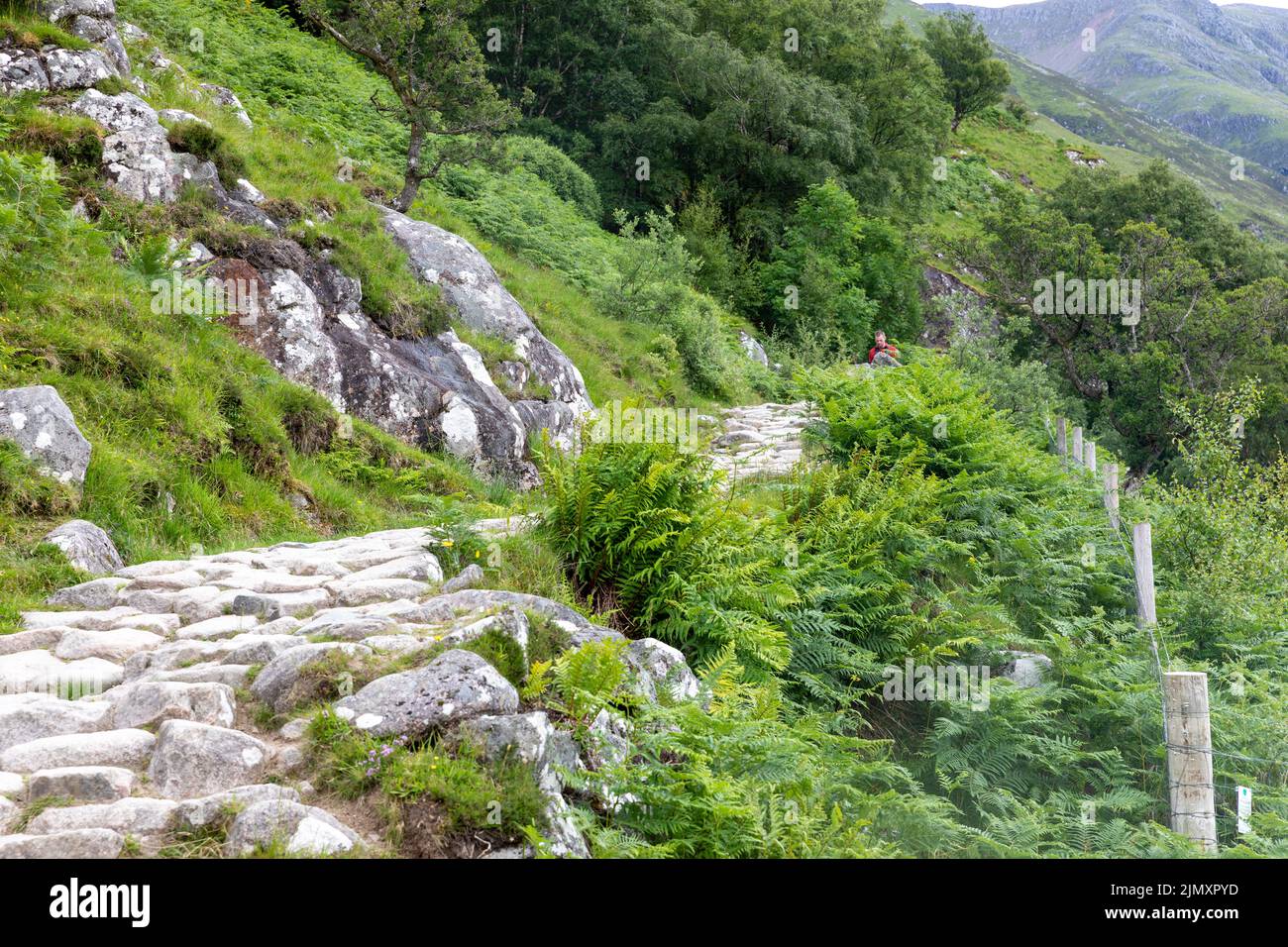 Ben Nevis, male hiker on the Mountain track path to Ben Nevis,Invernessshire,Scotland,Uk summer