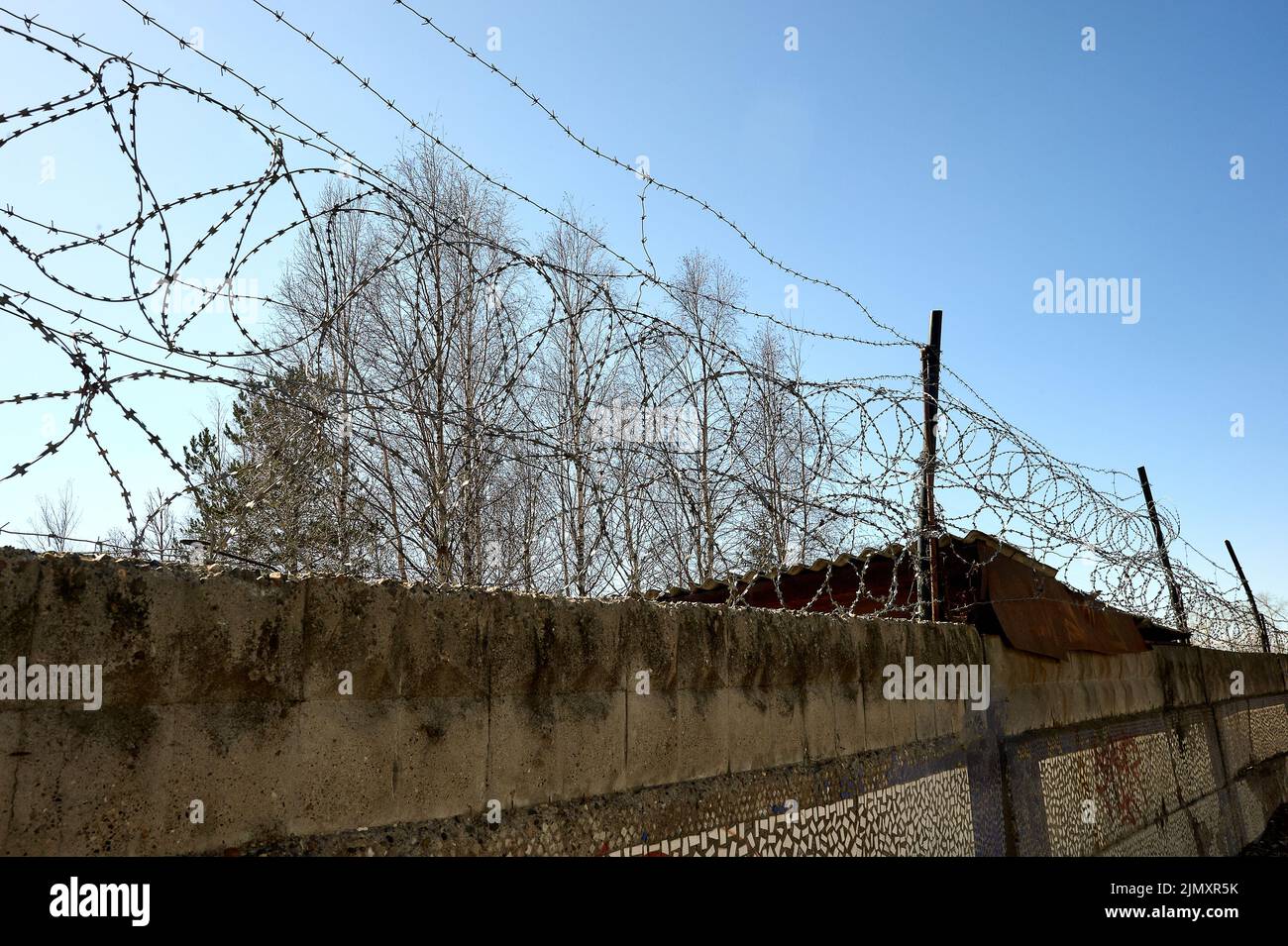 Barbed wire on a blue sky background. Stock Photo