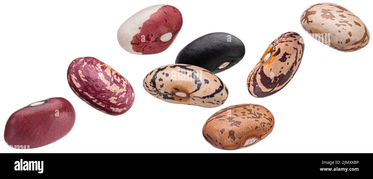 Kidney beans collection, different types of legumes isolated on white