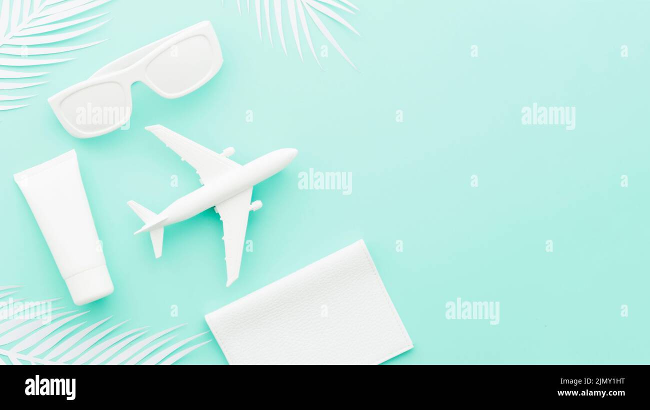 Small toy plane with sunglasses palm leaves Stock Photo