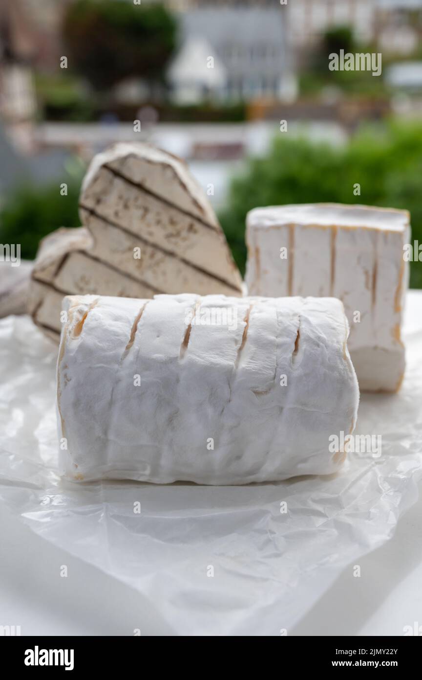 French cheeses heartshaped, squared and cylindrical neufchatel cow