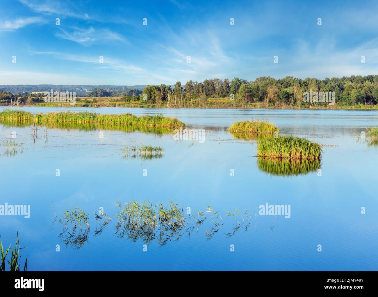 Summer lake landscape with plants reflections on water surface (near Shklo settlement, Lviv Oblast, Ukraine) . Stock Photo