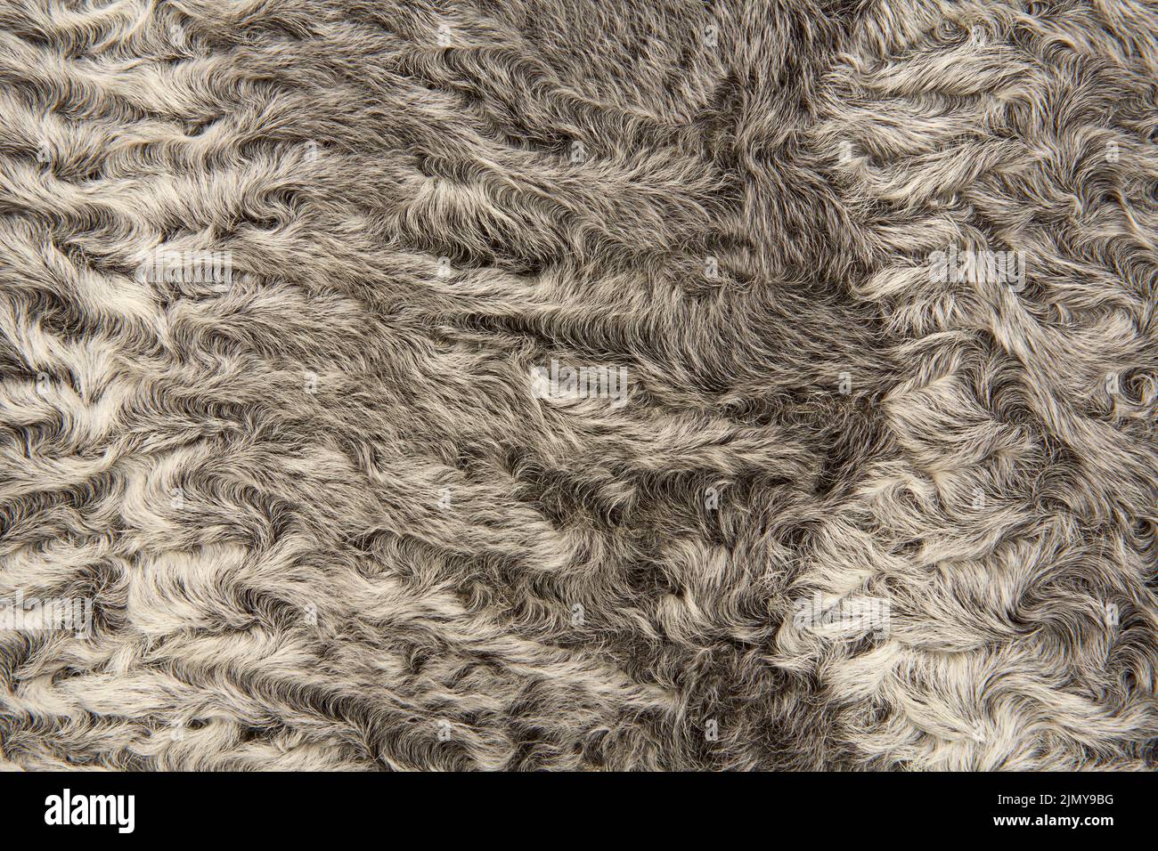 Fur texture fashion hi-res stock photography and images - Alamy