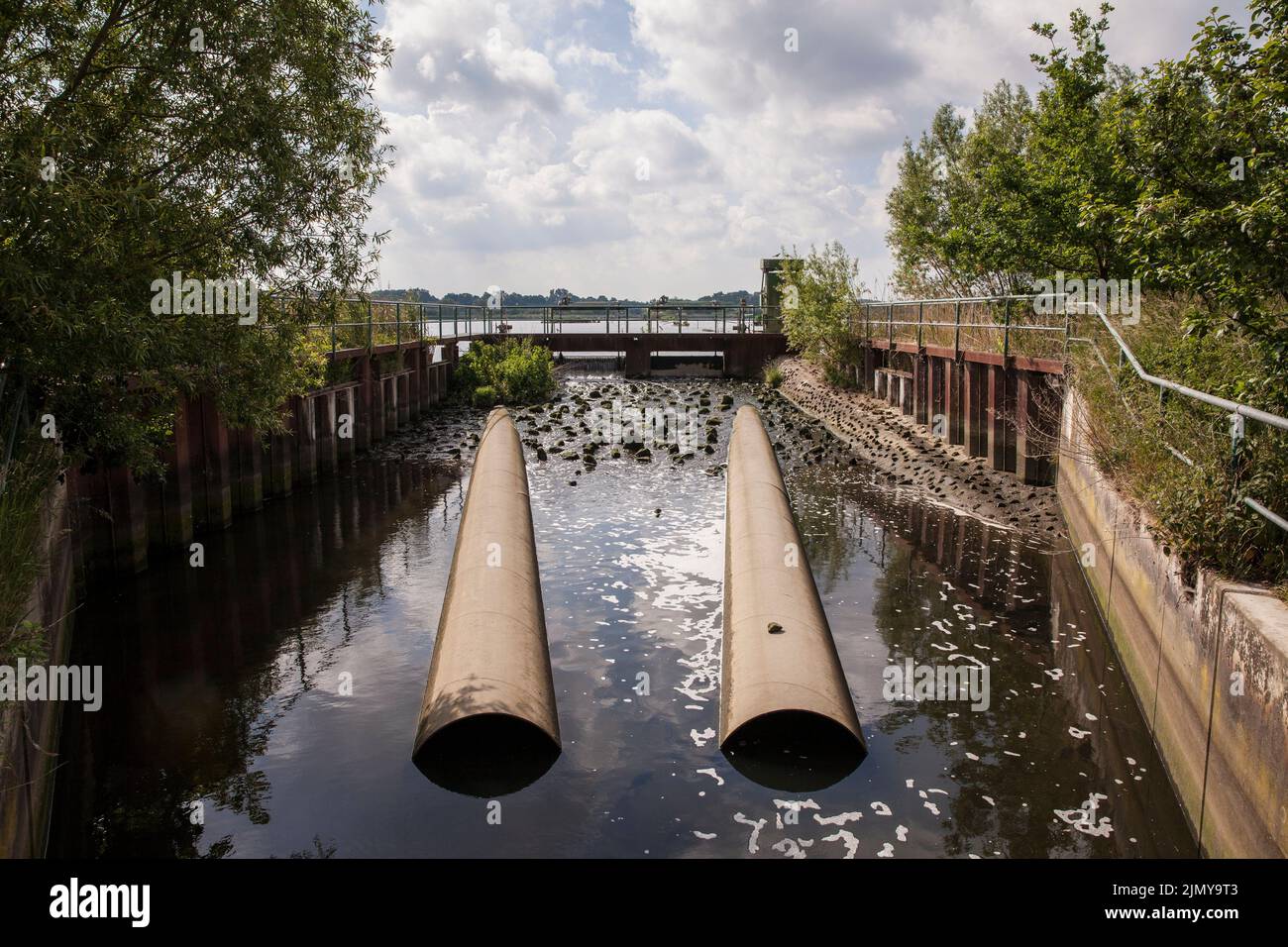 supply dam in the nature reserve Rieselfelder near Muenster, European bird sanctuary on the area of a former irrigation area for wastewater, North Rhi Stock Photo