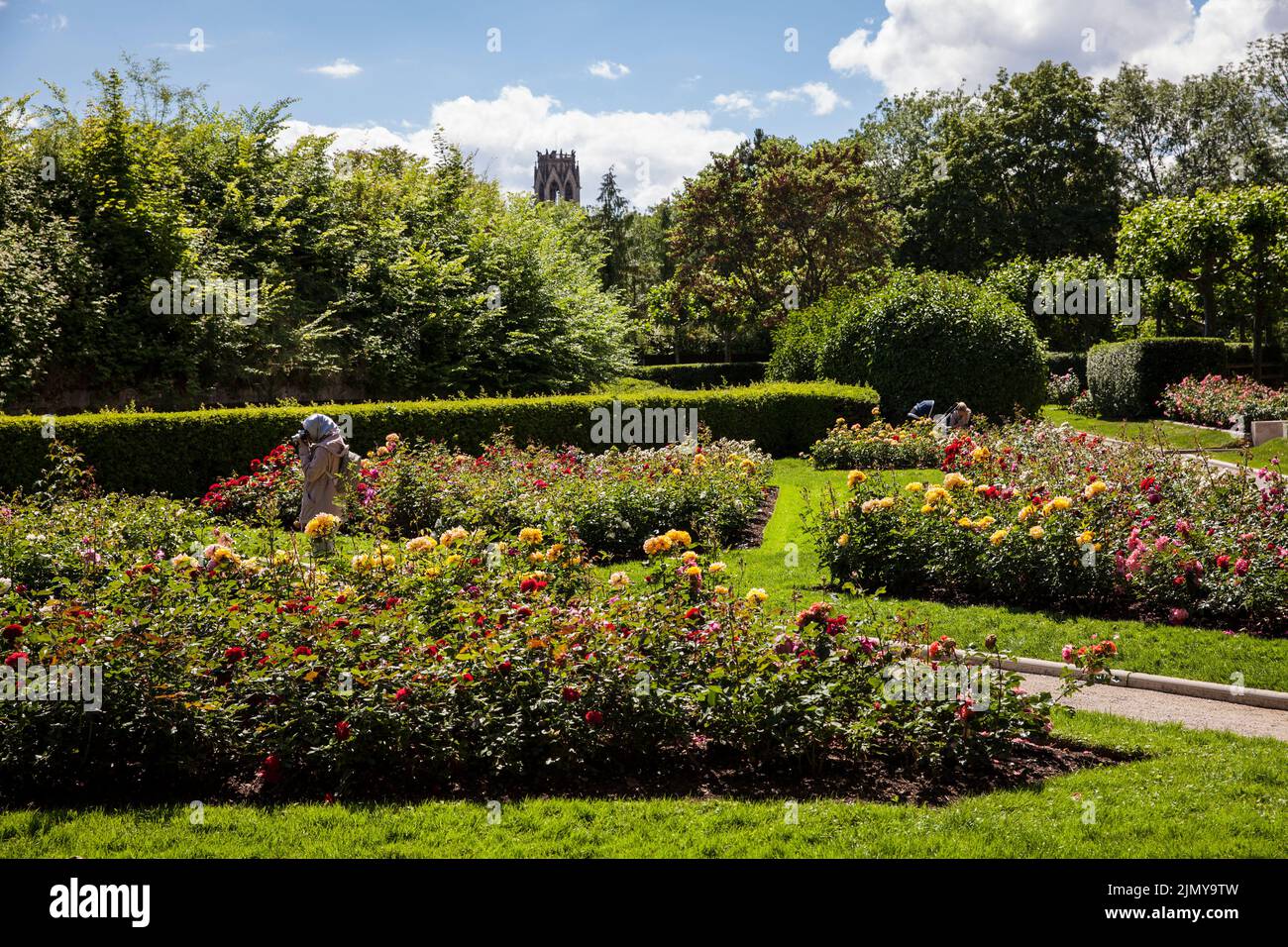 the rose garden at Fort X, a part of the former inner fortress ring, in the background the Agnes church, Cologne, Germany.  der Rosengarten am Fort X, Stock Photo