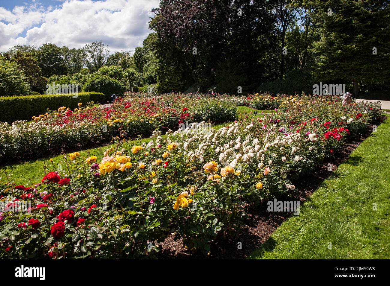 the rose garden at Fort X, a part of the former inner fortress ring
