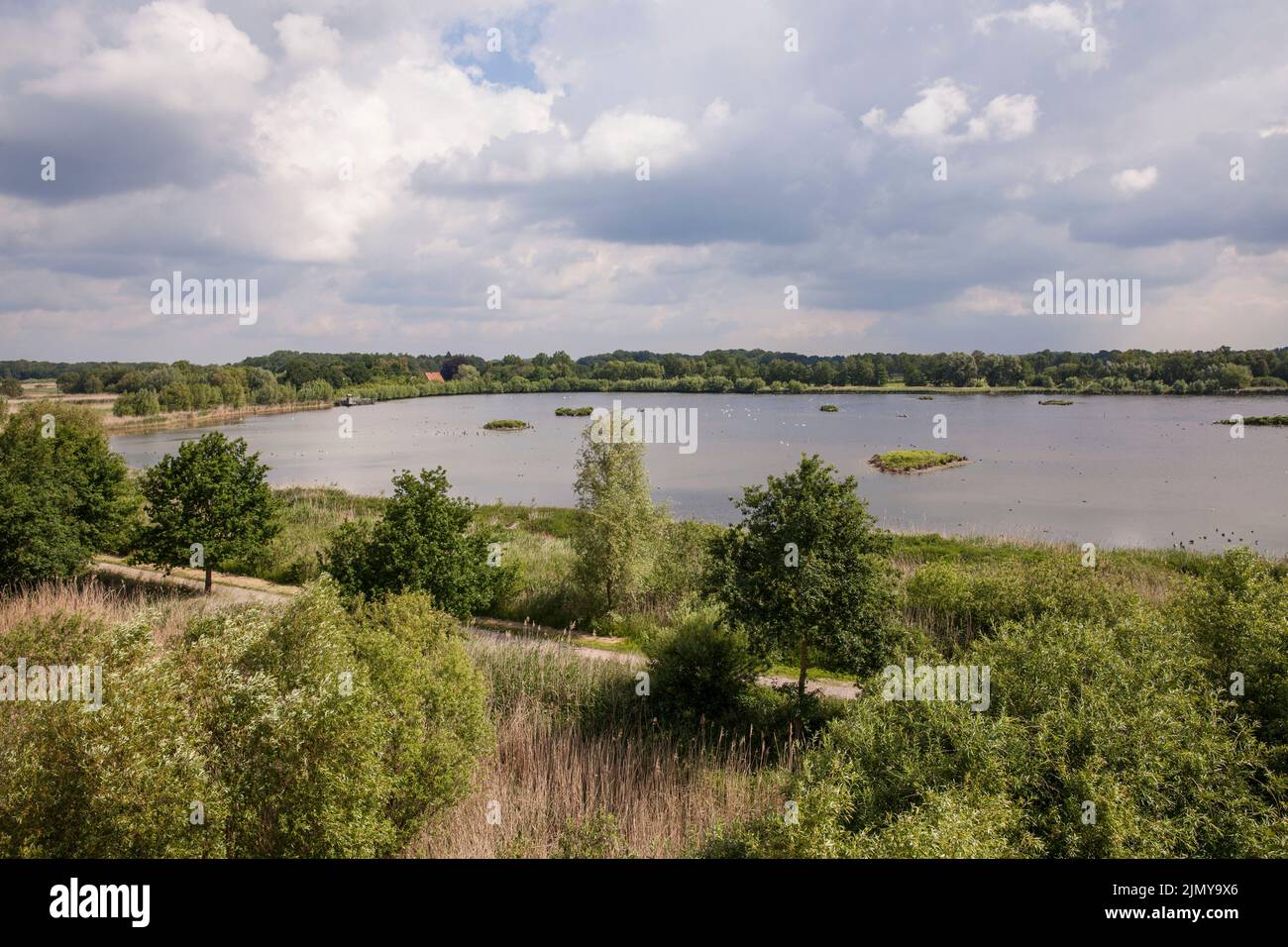 nature reserve Rieselfelder near Muenster, European bird sanctuary on the area of a former irrigation area for wastewater, North Rhine-Westphalia, Ger Stock Photo