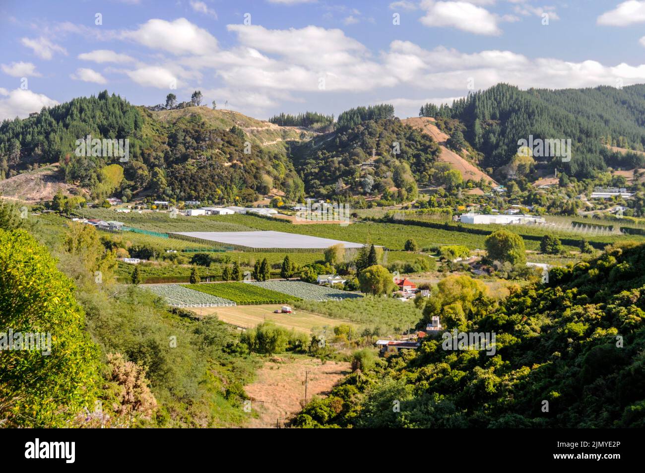 Fruitgrowing farms in the Motueka Valley on the edge of the Abel