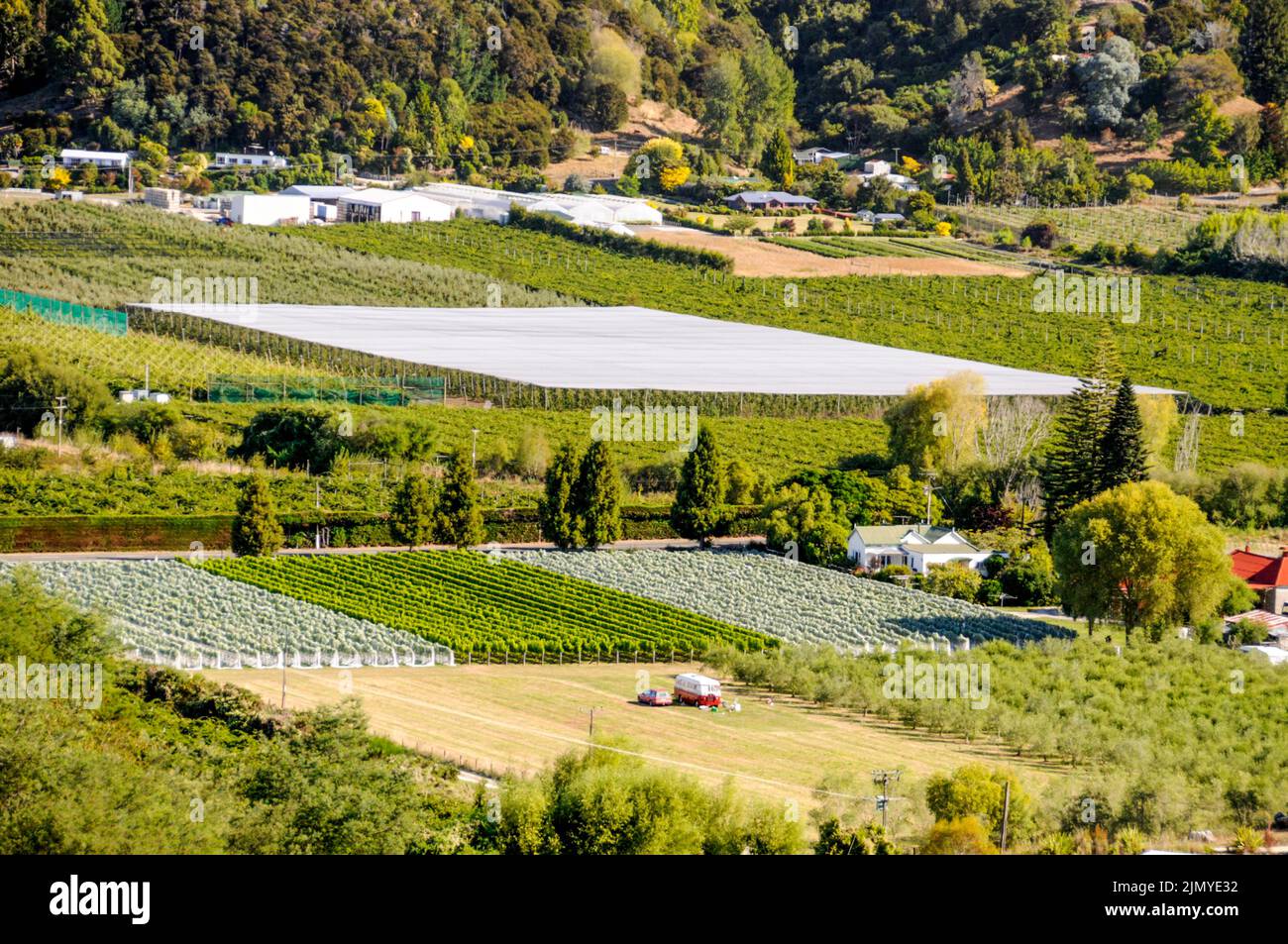 Fruitgrowing farms in the Motueka Valley on the edge of the Abel