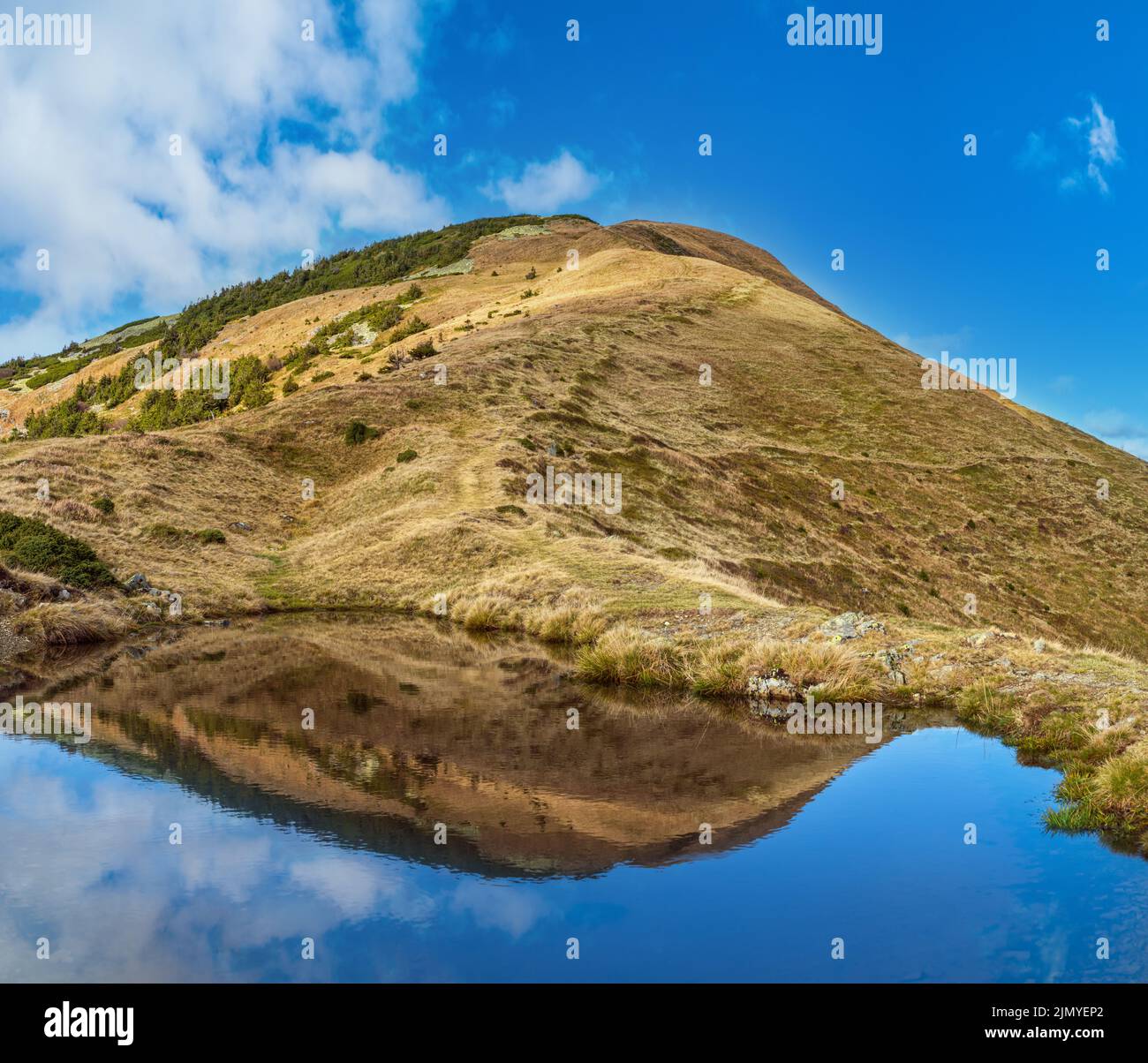 Small picturesque lake with clouds reflections at the  Strymba Mount. Beautiful autumn day in Carpathian Mountains near Kolochav Stock Photo