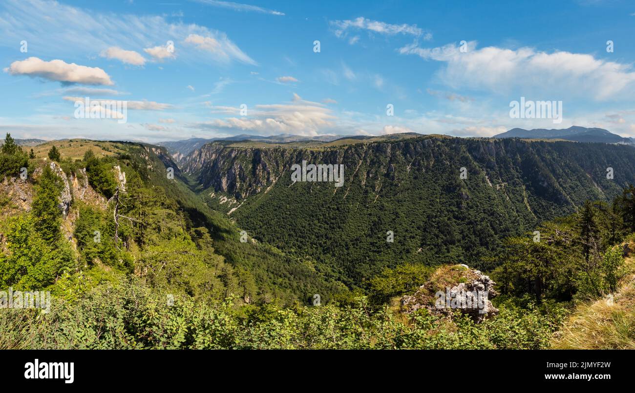 Summer Tara Canyon in mountain Durmitor National Park, Montenegro Stock Photo