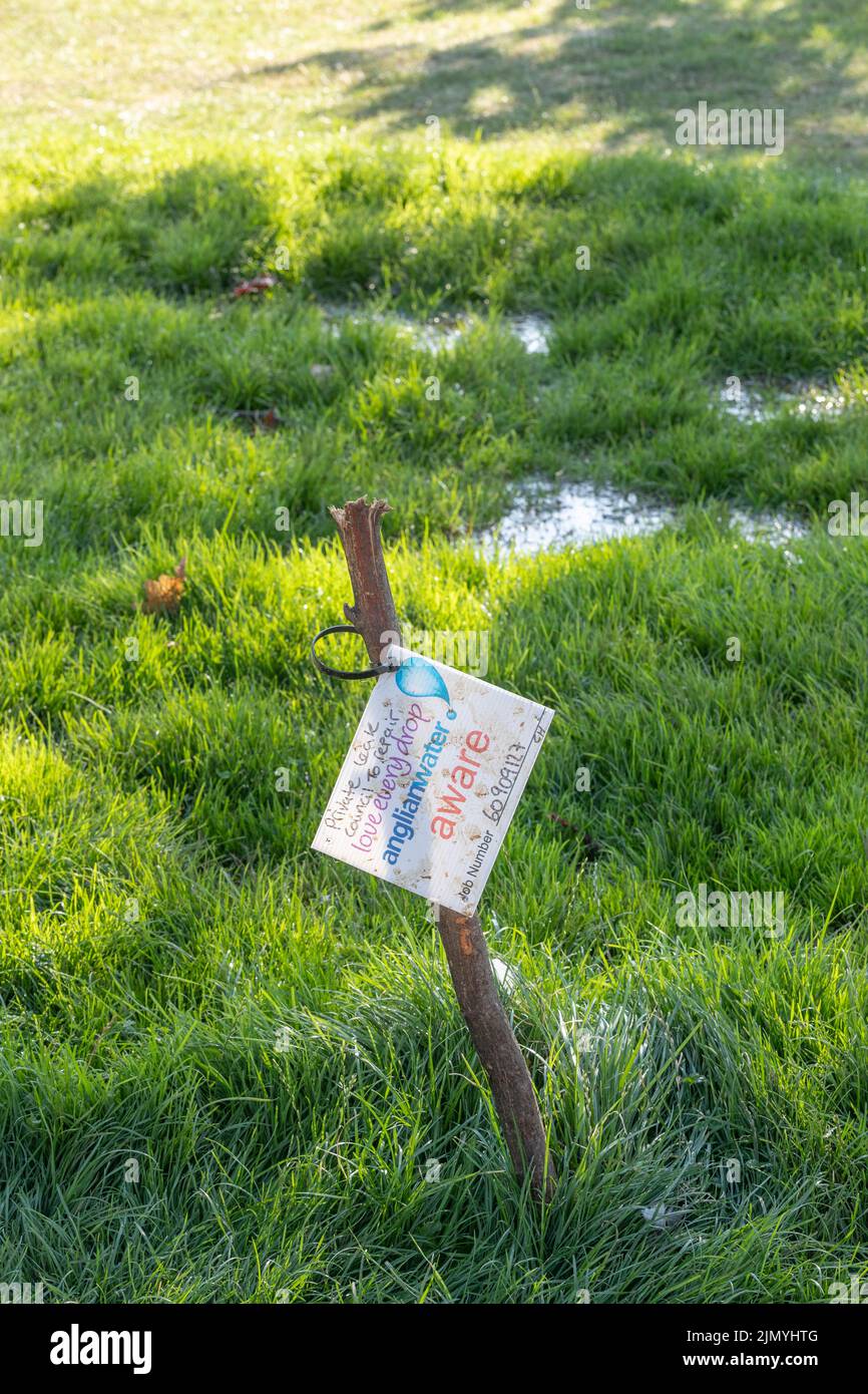 Northampton. UK. 8th August, 2022. While there is a water shortage in the country a leak in Abington Park own by the Council has been left without repair for over a month giving a oasis of green in the parched area around. Credit:  Keith J Smith./Alamy Live News Stock Photo