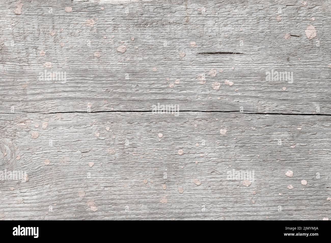 Natural light gray wooden texture background, board wall and old panel wood grain wallpaper. Weathered spotted table plywood. Rustic pattern for desig Stock Photo