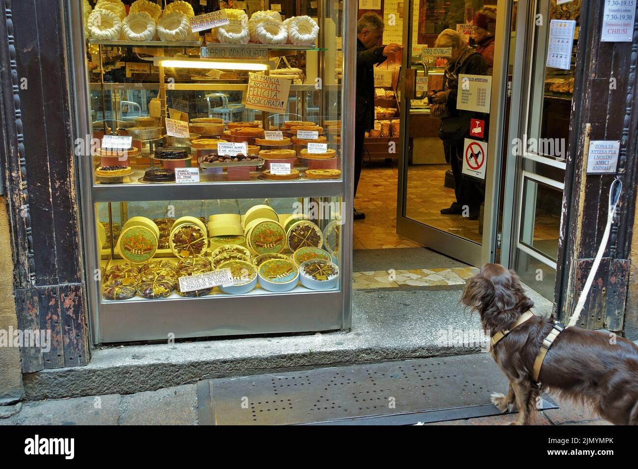 Dog tied on leash, Paolo Atti bread shop, Bologna, Emilia Romagna, Italy, Europe Stock Photo
