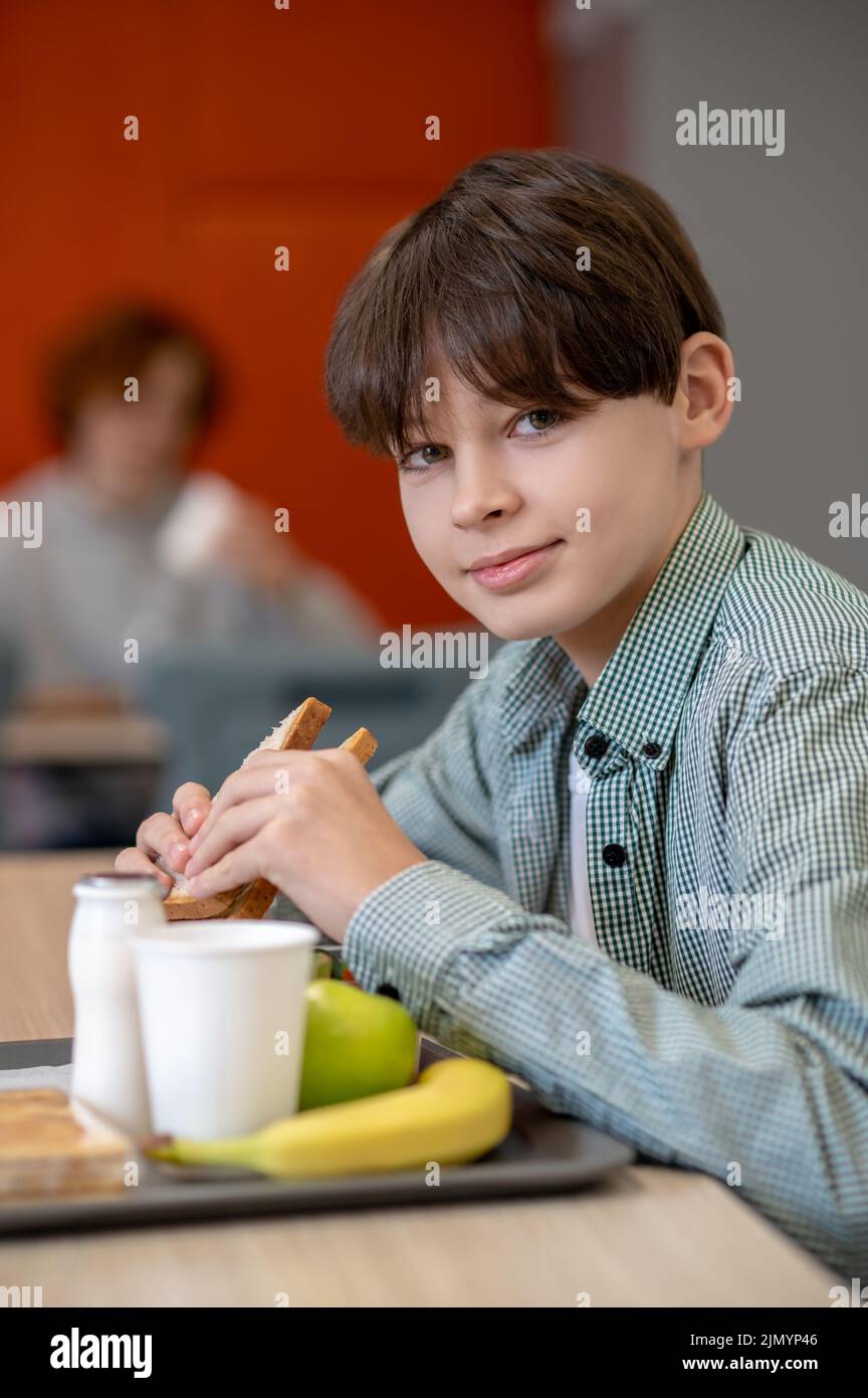 https://c8.alamy.com/comp/2JMYP46/dark-haired-boy-eating-sandwich-in-a-school-canteen-2JMYP46.jpg