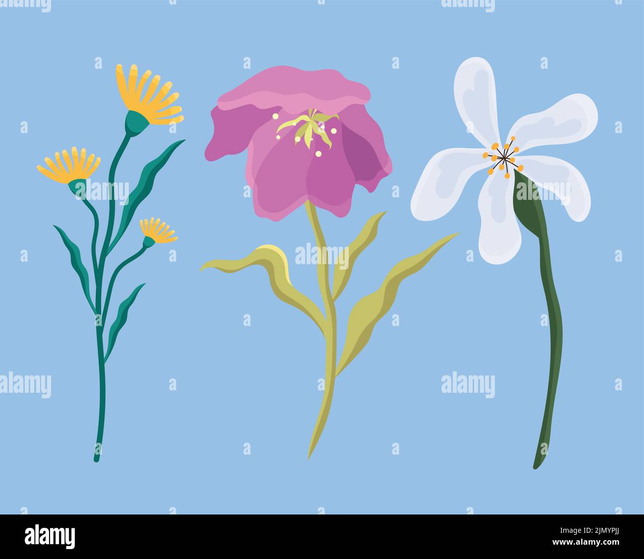 three spring flowers set icons Stock Vector Image & Art - Alamy