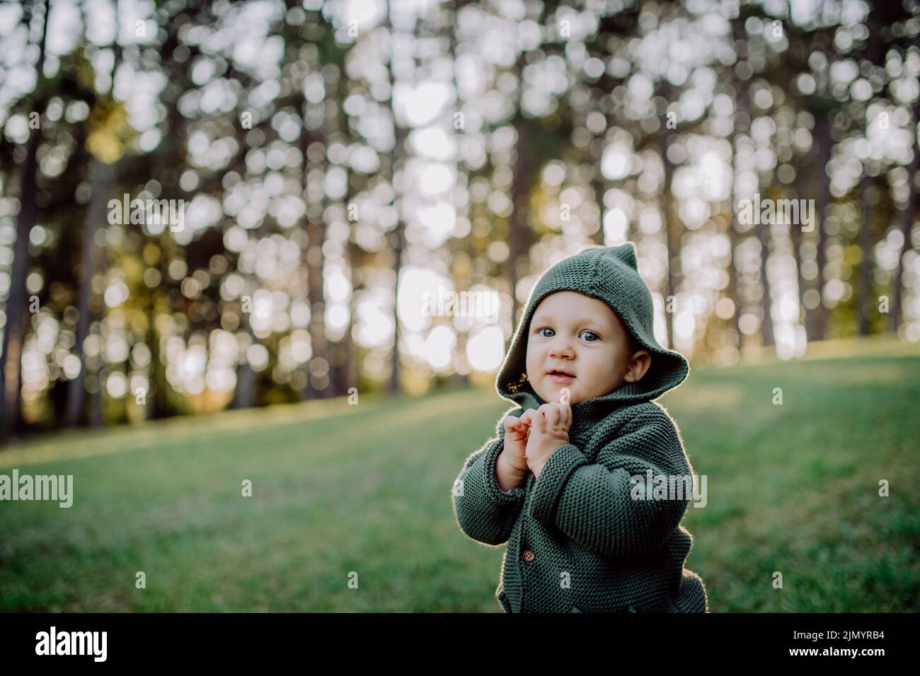 Portrait of cute little boy wearing knitted hoodie in nautre, autumn concept. Stock Photo