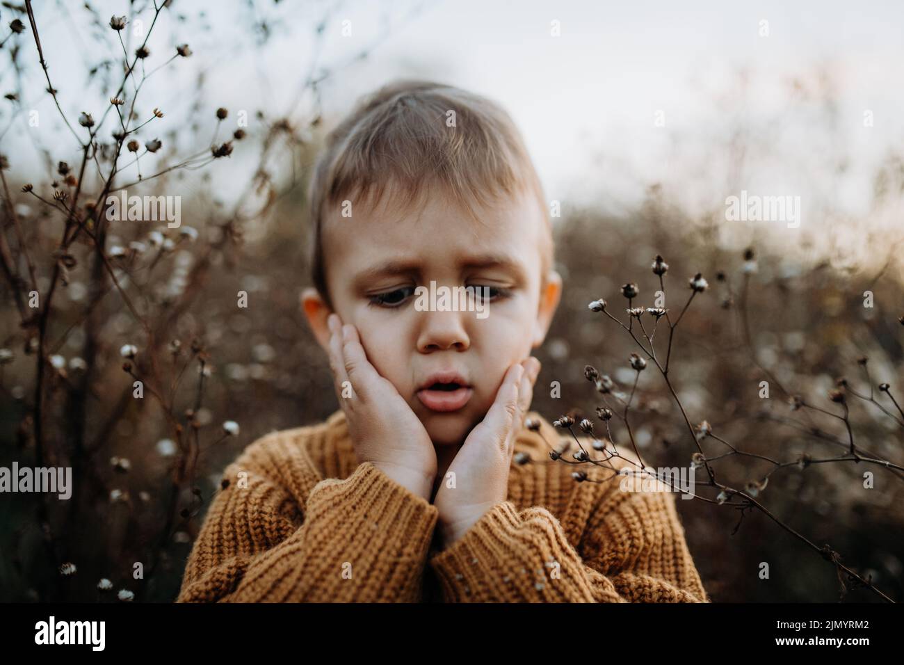 Portrait of sad, worried little boy wearing knitted sweater in nautre, autumn concept. Stock Photo