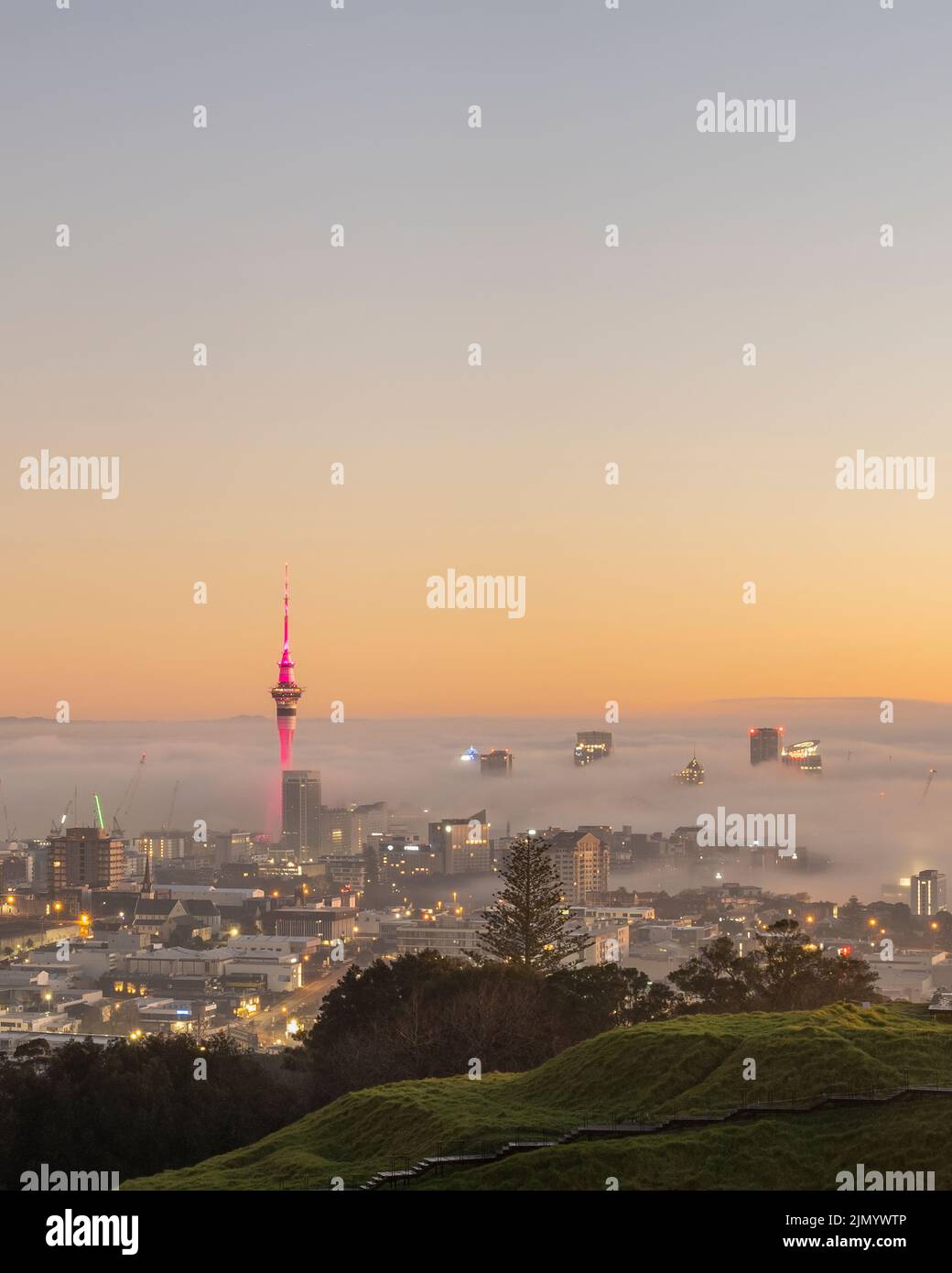 Sky Tower and Auckland city in the fog at sunrise, from Mount Eden summit. Vertical format. Stock Photo