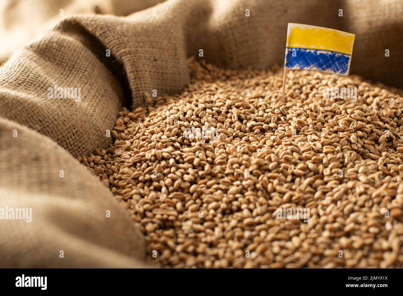 Burlap sack with wheat grains and Ukrainian flag concept Stock Photo