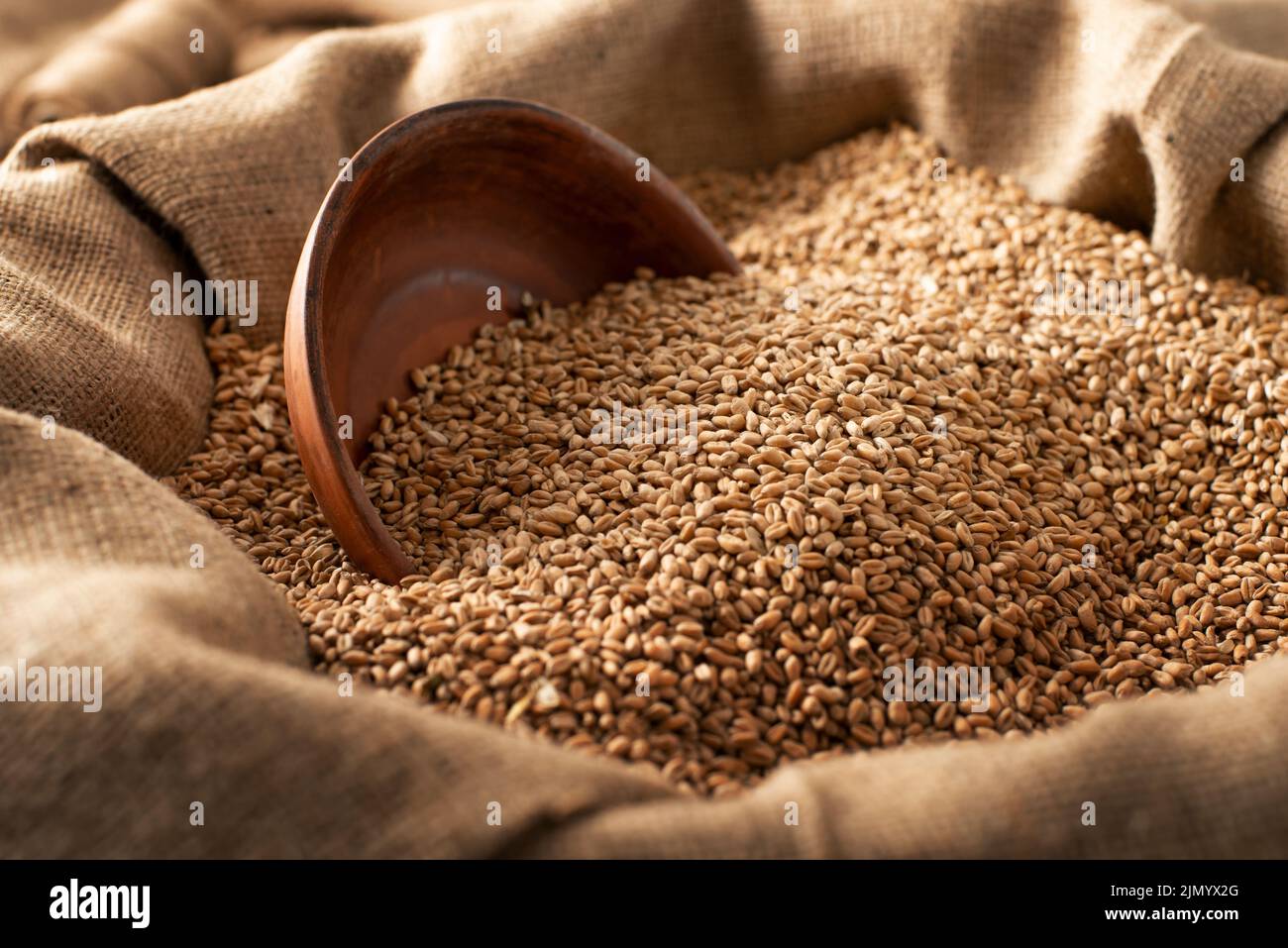 Burlap sack with wheat grains and clay bowl Stock Photo