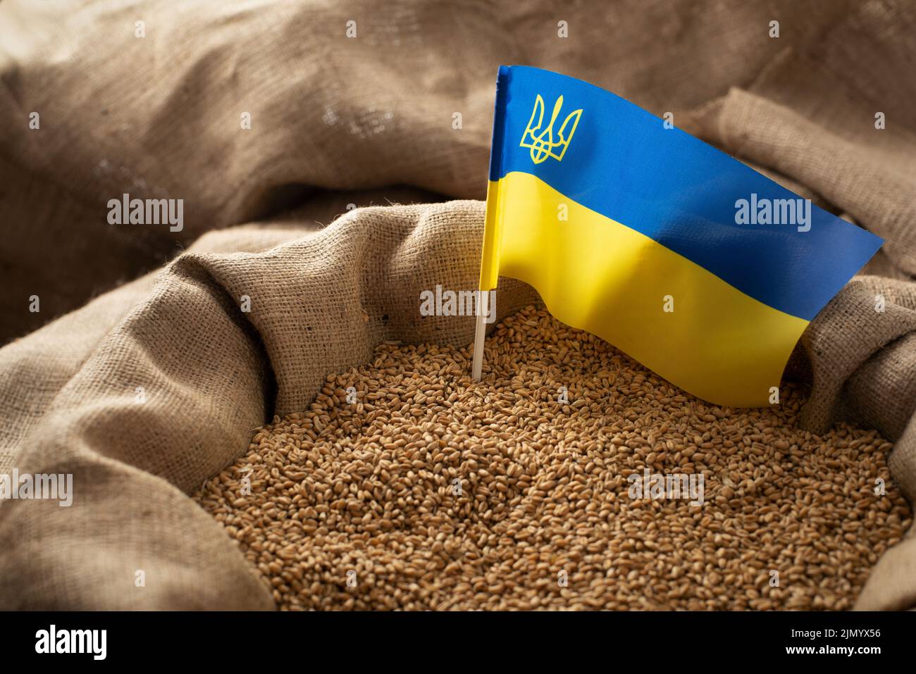 Burlap sack with wheat grains and Ukrainian flag concept Stock Photo
