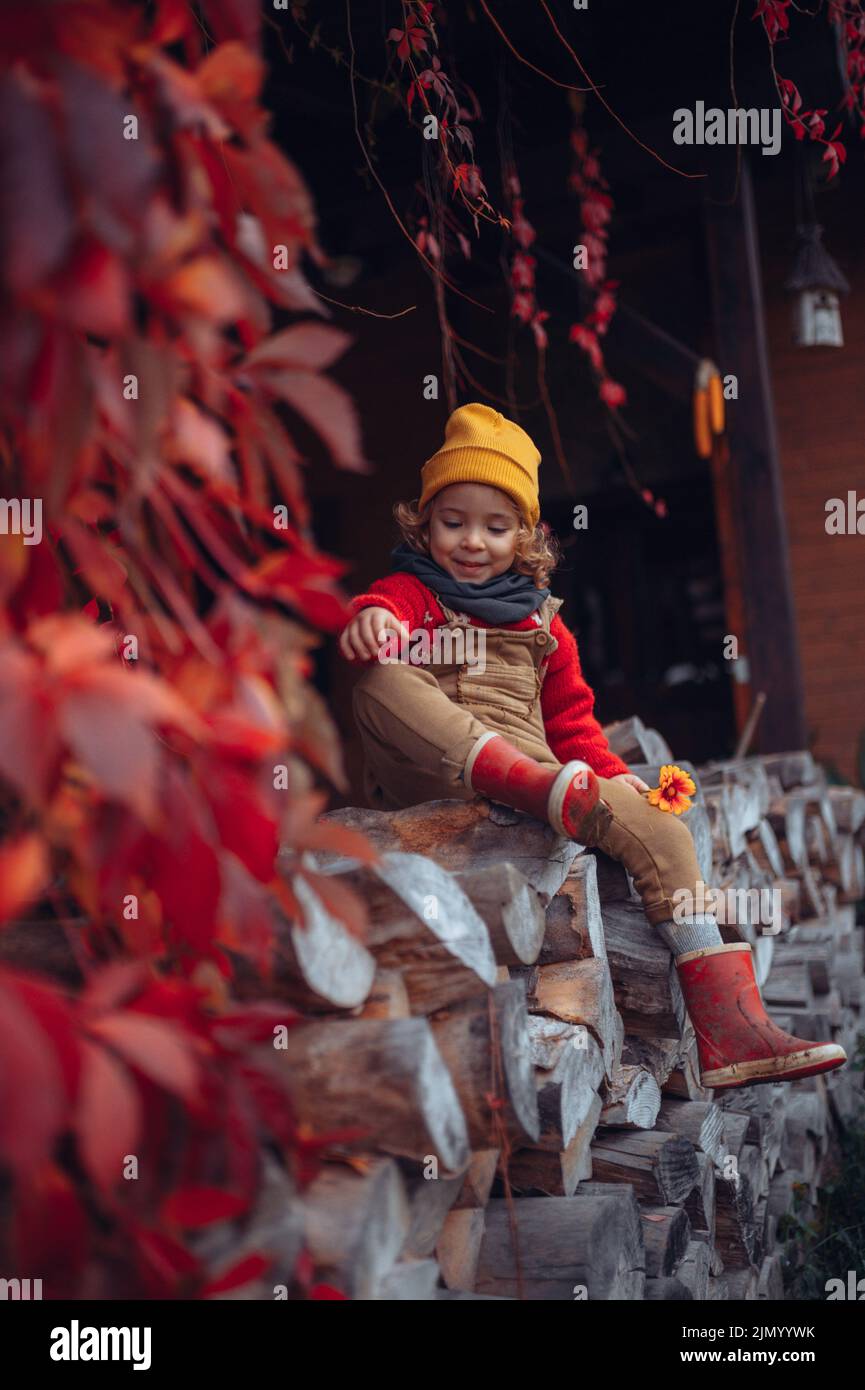Happy little girl sitting at pile of wood with flower, surrouded by red leaves, during beautiful autumn day. Stock Photo