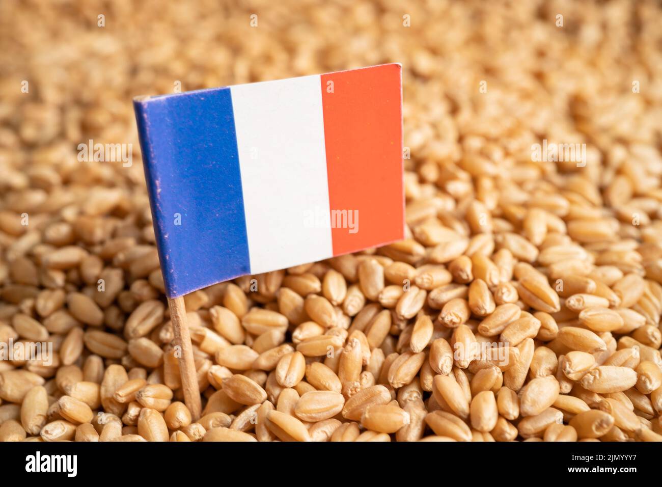 Grains wheat with France flag, trade export and economy concept Stock