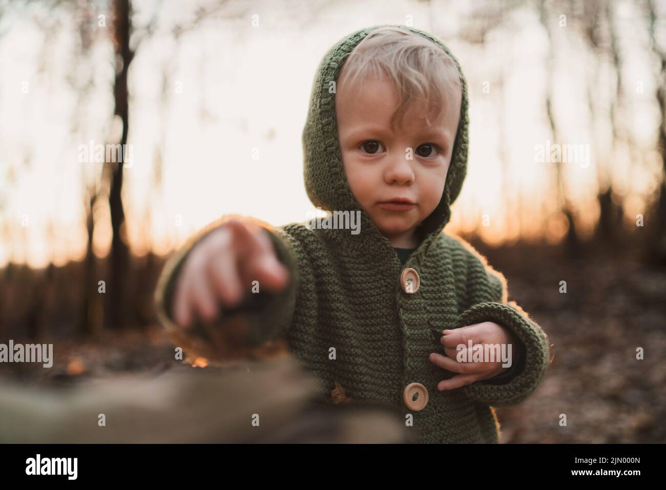 Autumn portrait of happy little boy in knitted sweater sitting and playing in dry grass in nature. Stock Photo