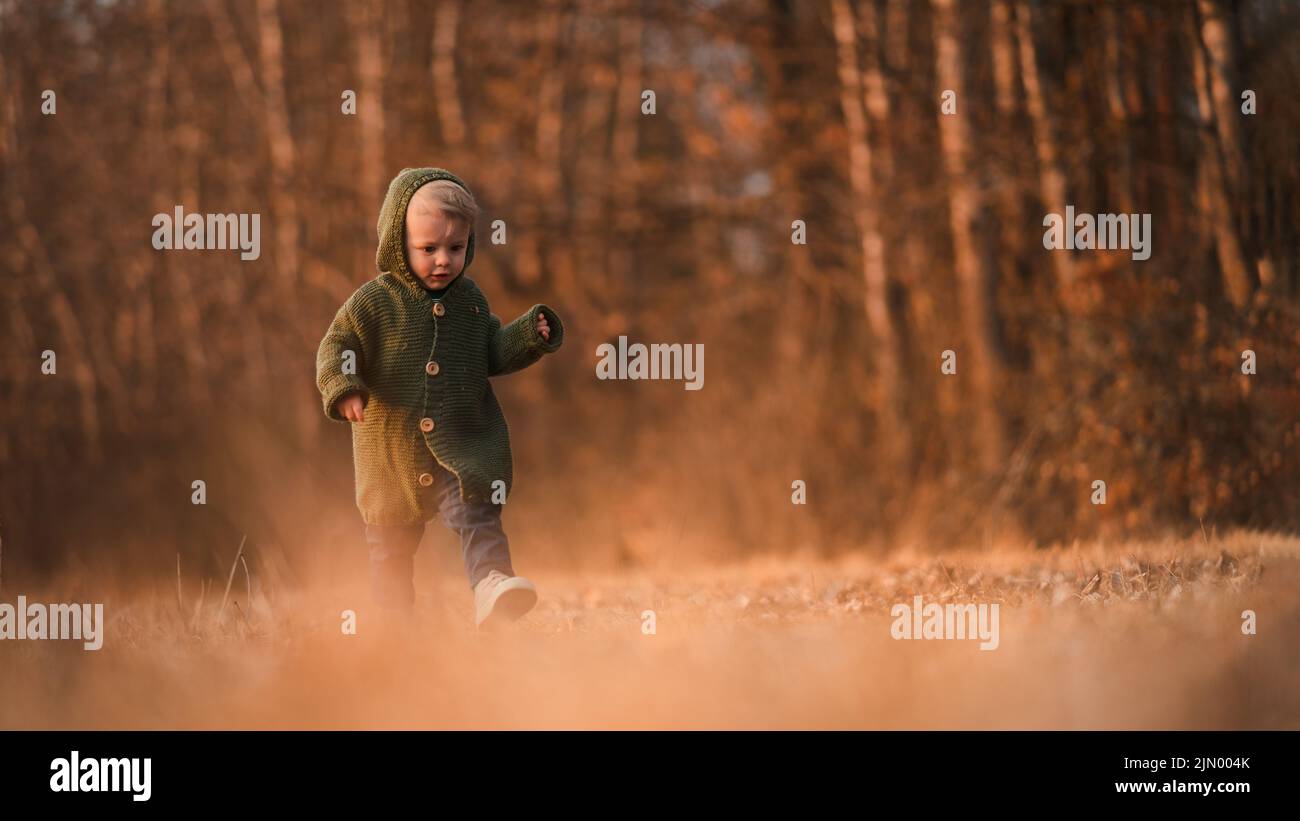 Little curious boy in knitted sweater on walk in autumn nature, looking at camera. Stock Photo