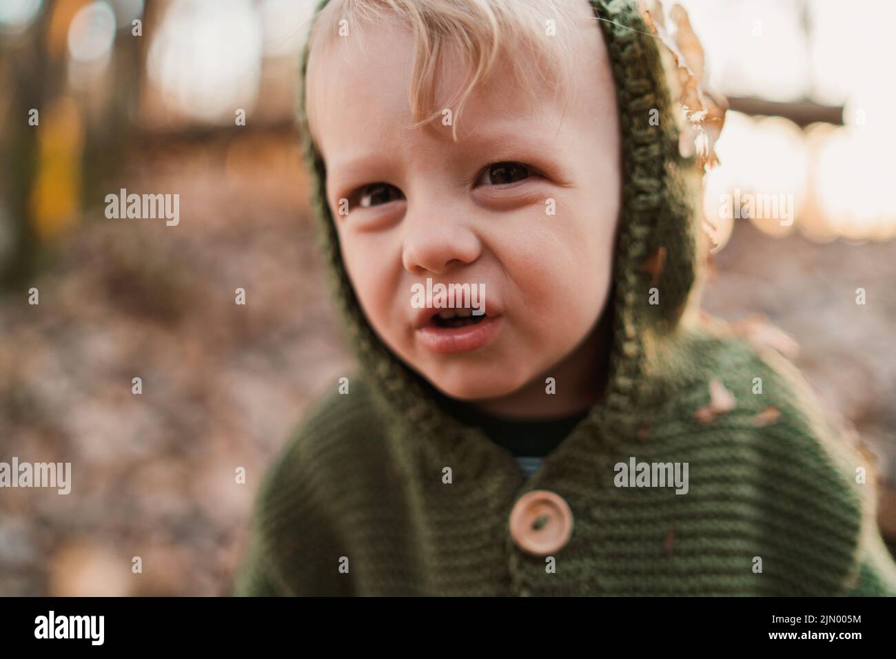 Close-up of cute little boy with grimace in knitted hoodie in forest, autumn concept. Stock Photo