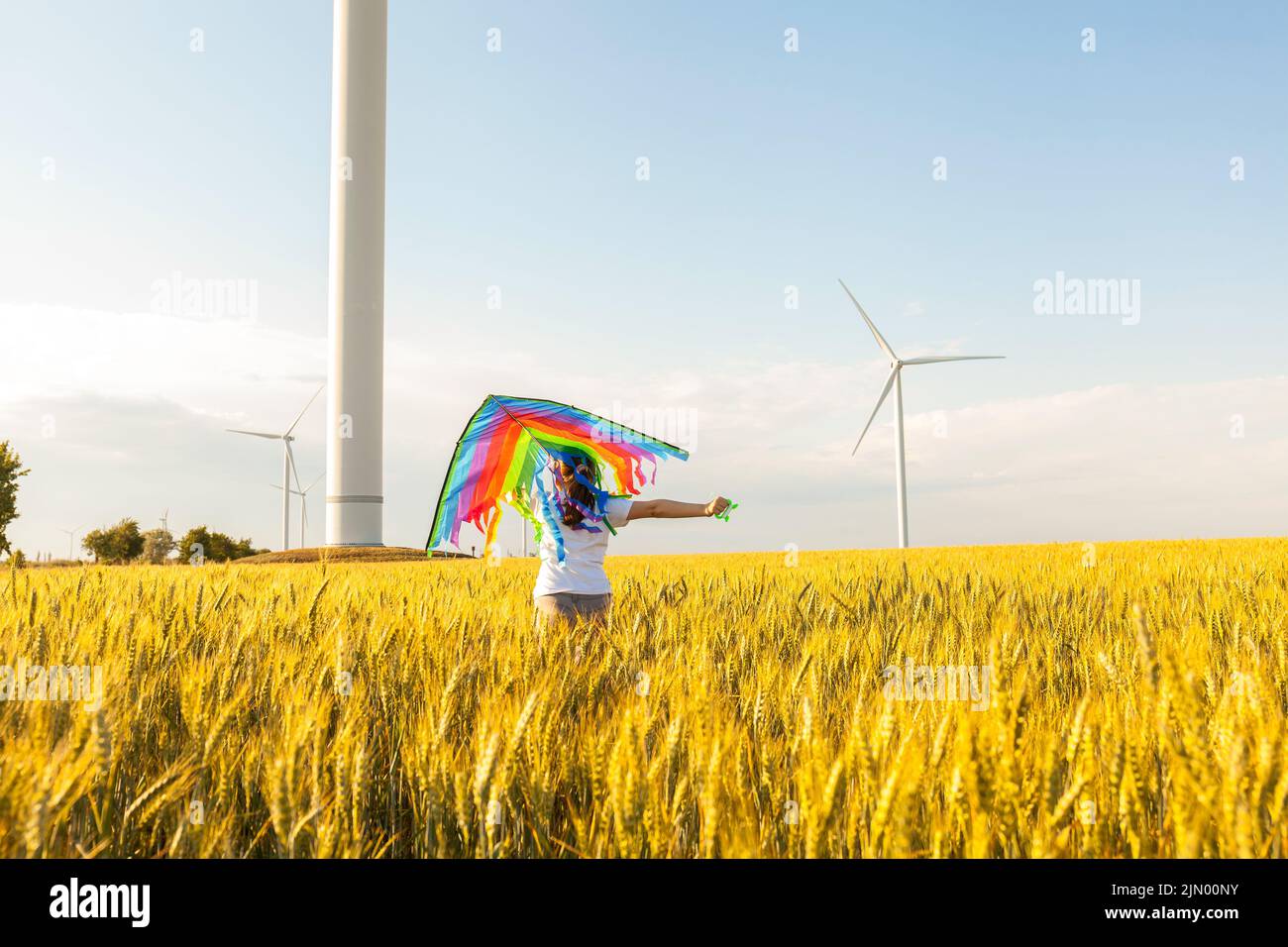 Happy Little girl running in a wheat field with a kite in the summer ...