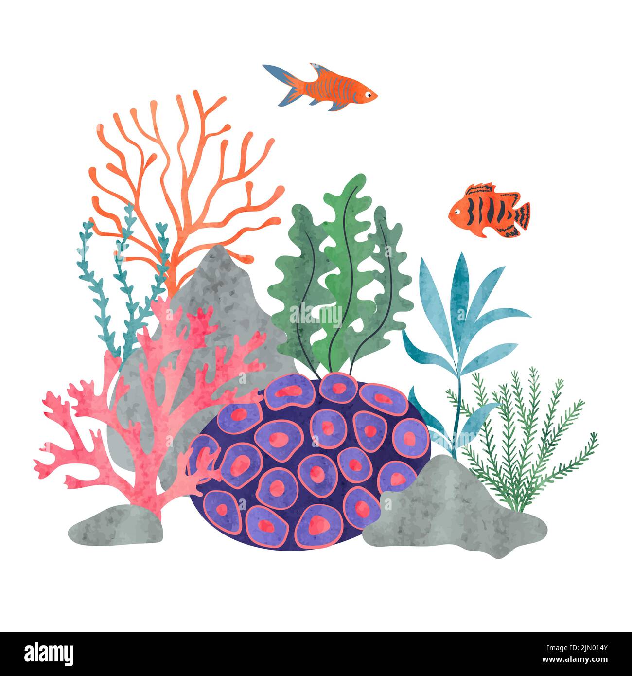 Colorful coral reef scene with sea fish. Vector watercolor marine ...
