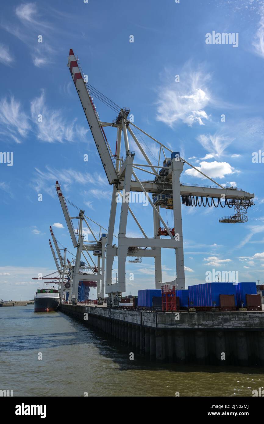 Cranes at a terminal in the cargo port of Hamburg against a blue sky with cirrus clouds, concept for transport, shipping and logistics, copy space, se Stock Photo