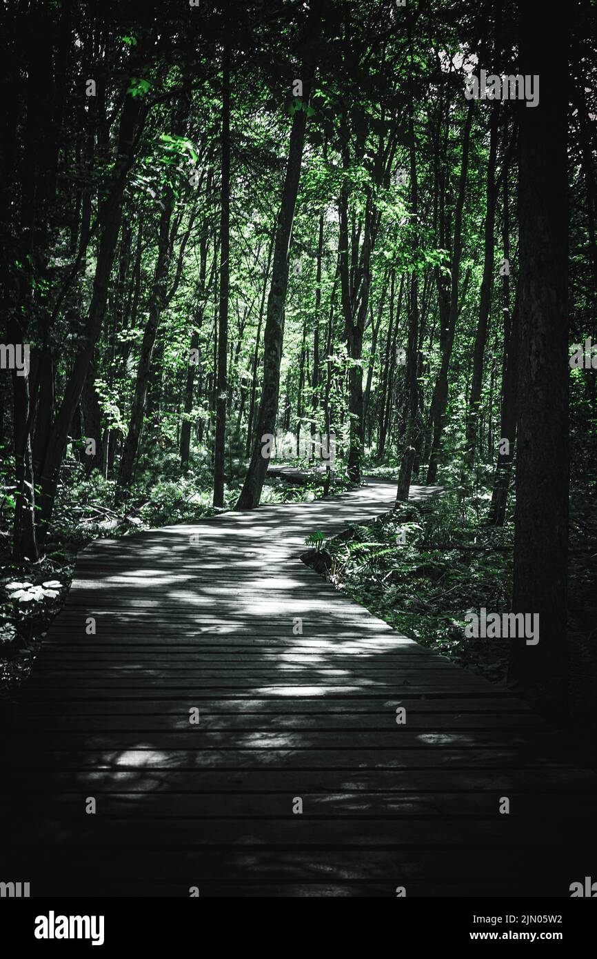 Vertical shot pathway park hi-res stock photography and images - Alamy