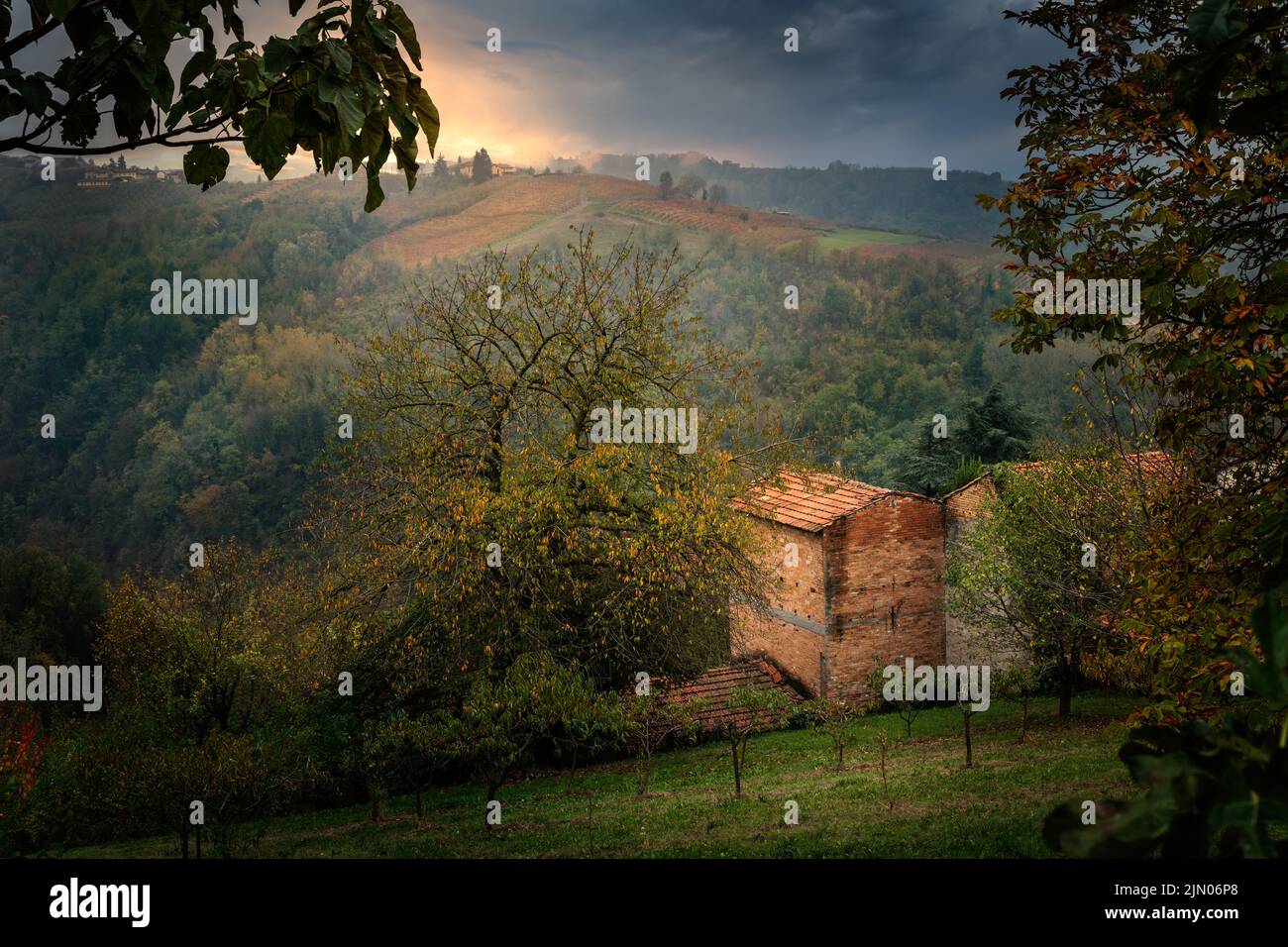 wineland landscape of Barolo wine region, langhe, Piemont, Italy Stock Photo