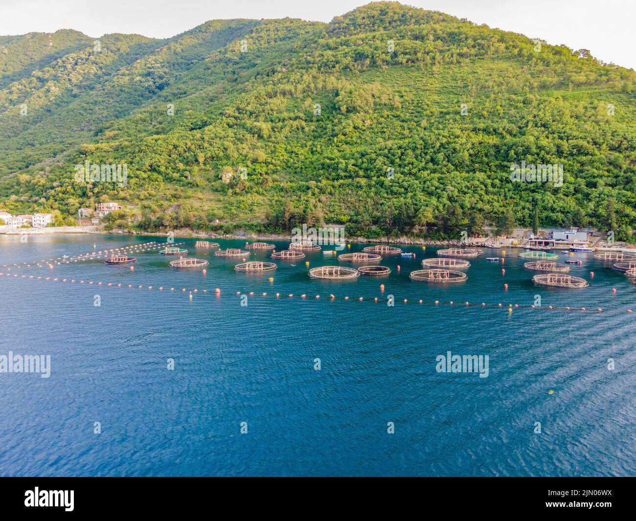 Oyster farm in the Mediterranean. Montenegro, Kotor Stock Photo Alamy