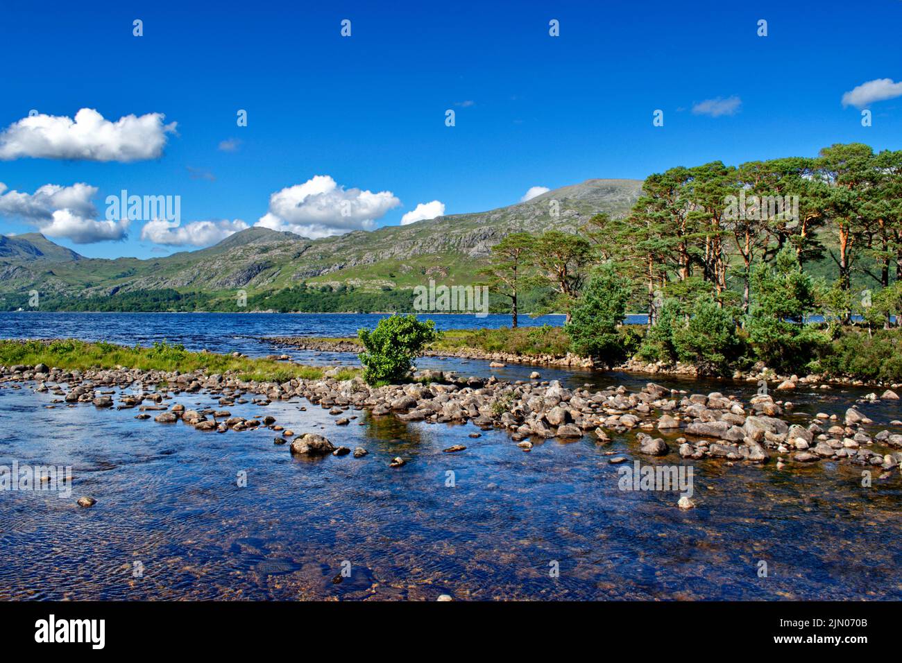 SLIOCH MOUNTAIN WESTER ROSS SCOTLAND IN SUMMER LOCH MAREE SCOTS PINES Pinus sylvestris AND MOUTH OF THE RIVER GRUDIE Stock Photo