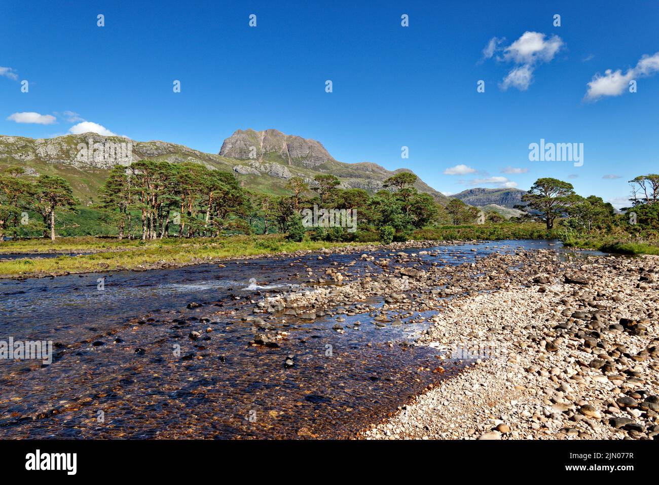 SLIOCH MOUNTAIN WESTER ROSS SCOTLAND IN SUMMER SCOTS PINE TREES Pinus sylvestris AND LOOKING UP THE RIVER GRUDIE Stock Photo